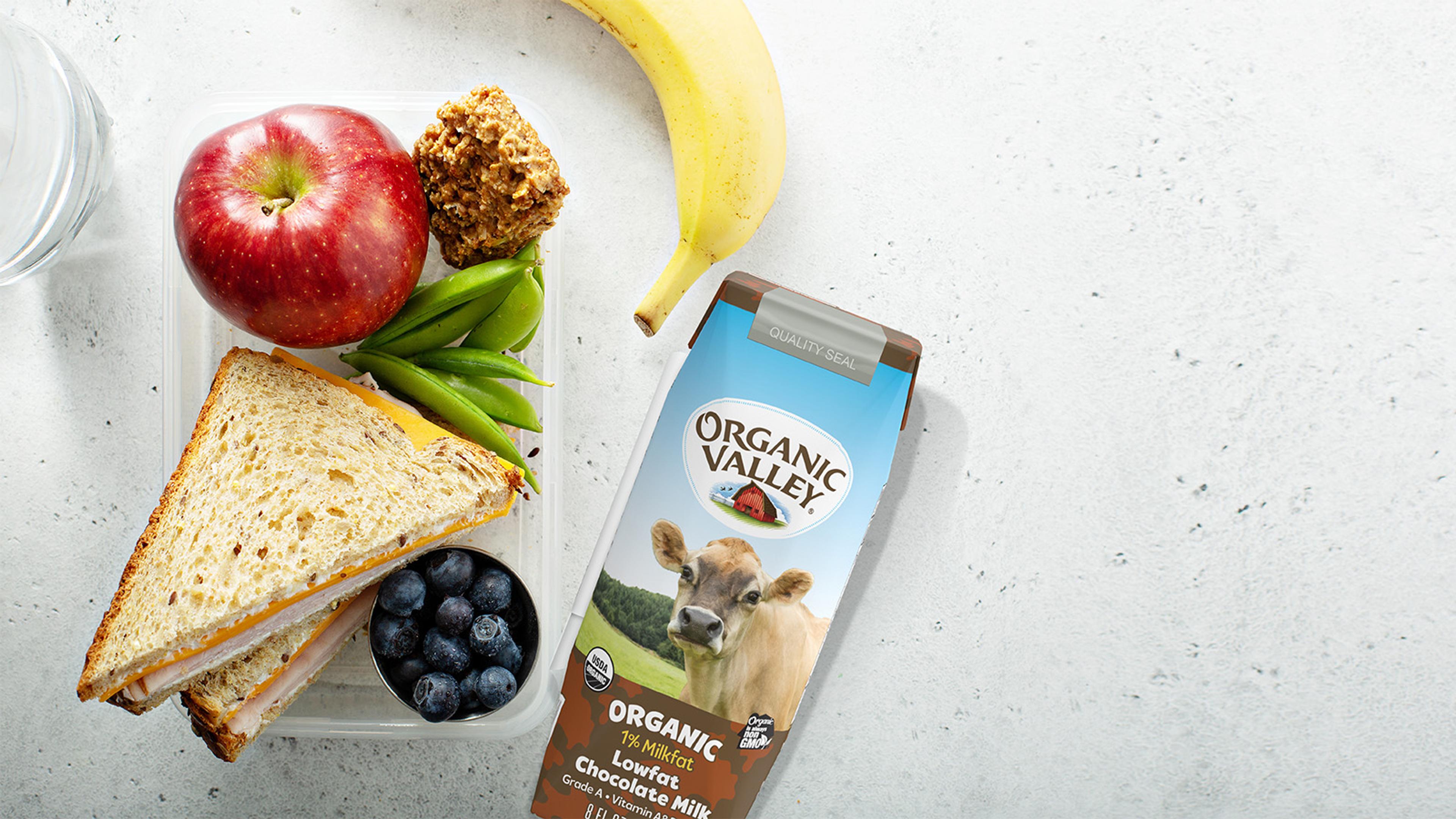A single-serve pack of Organic Valley chocolate milk on a table with a grilled cheese sandwich and fruit.