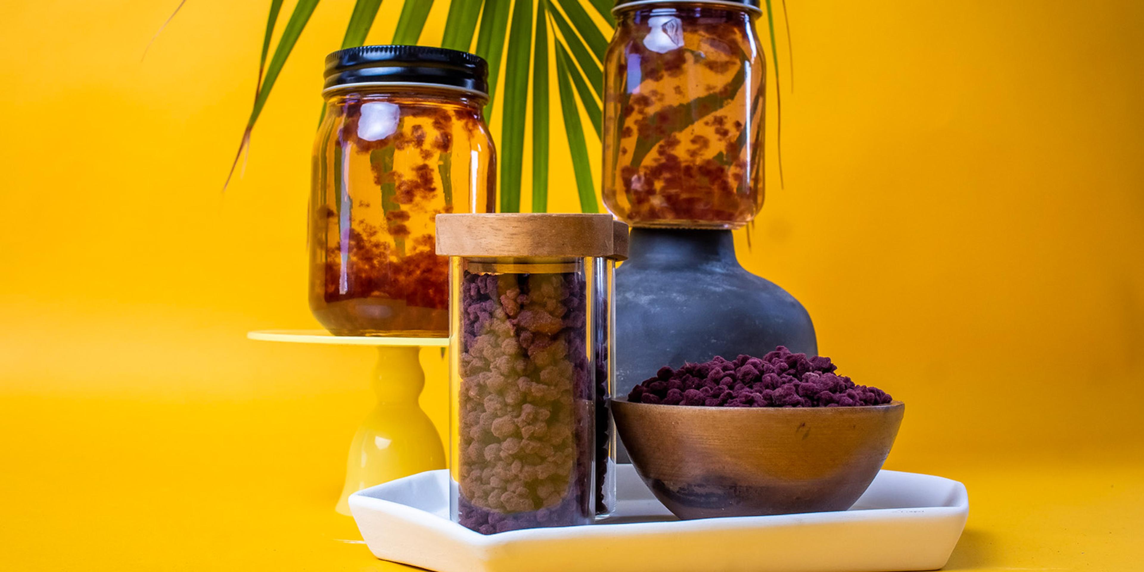 Jars of Asparagopsis taxiformis seaweed and SeaGraze supplement.