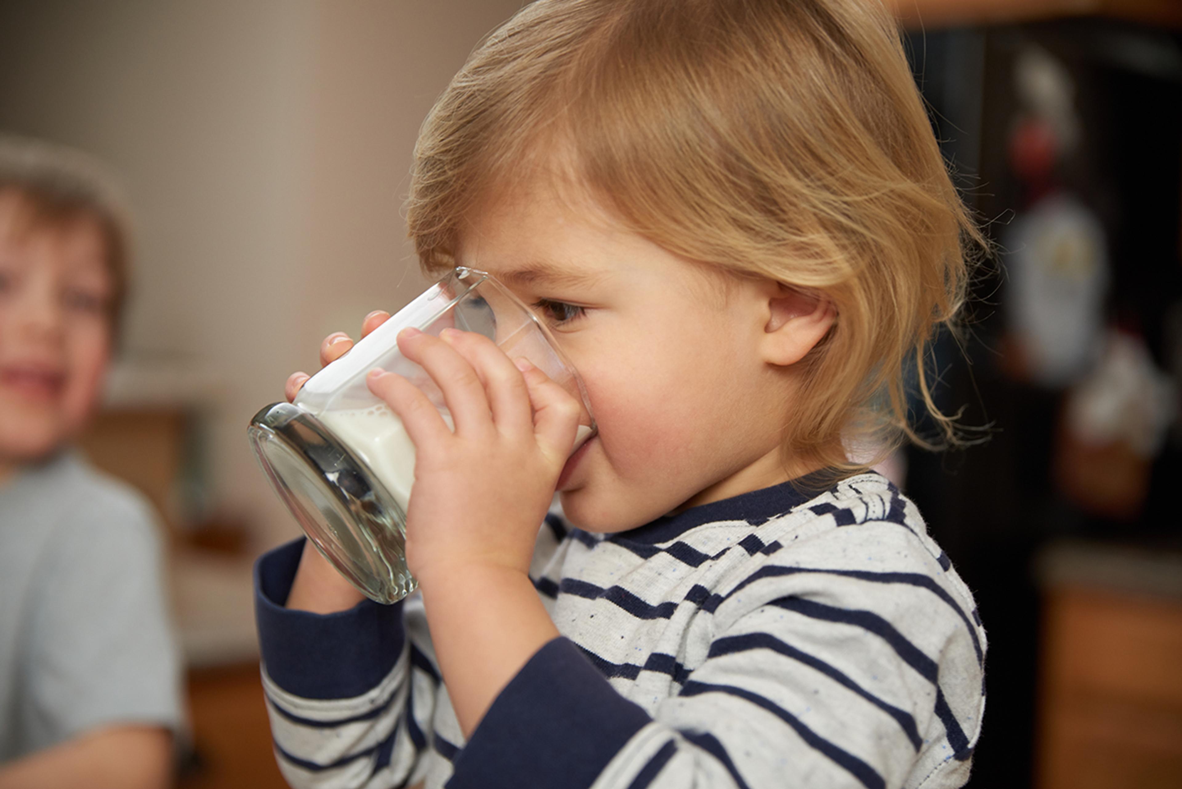 A little boy wearing a striped shirt drinks a glass of milk.