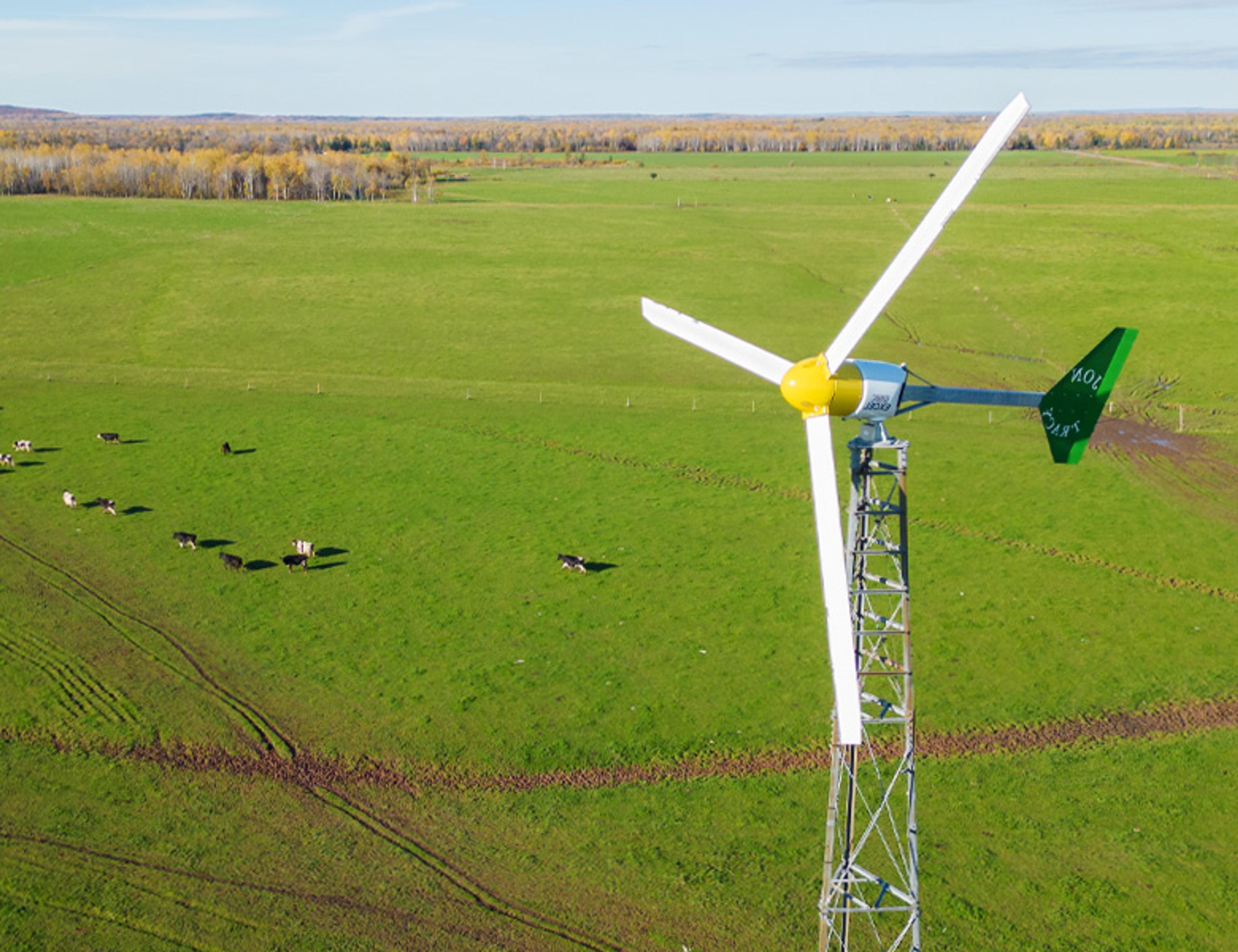A windmill with cows on pasture below.