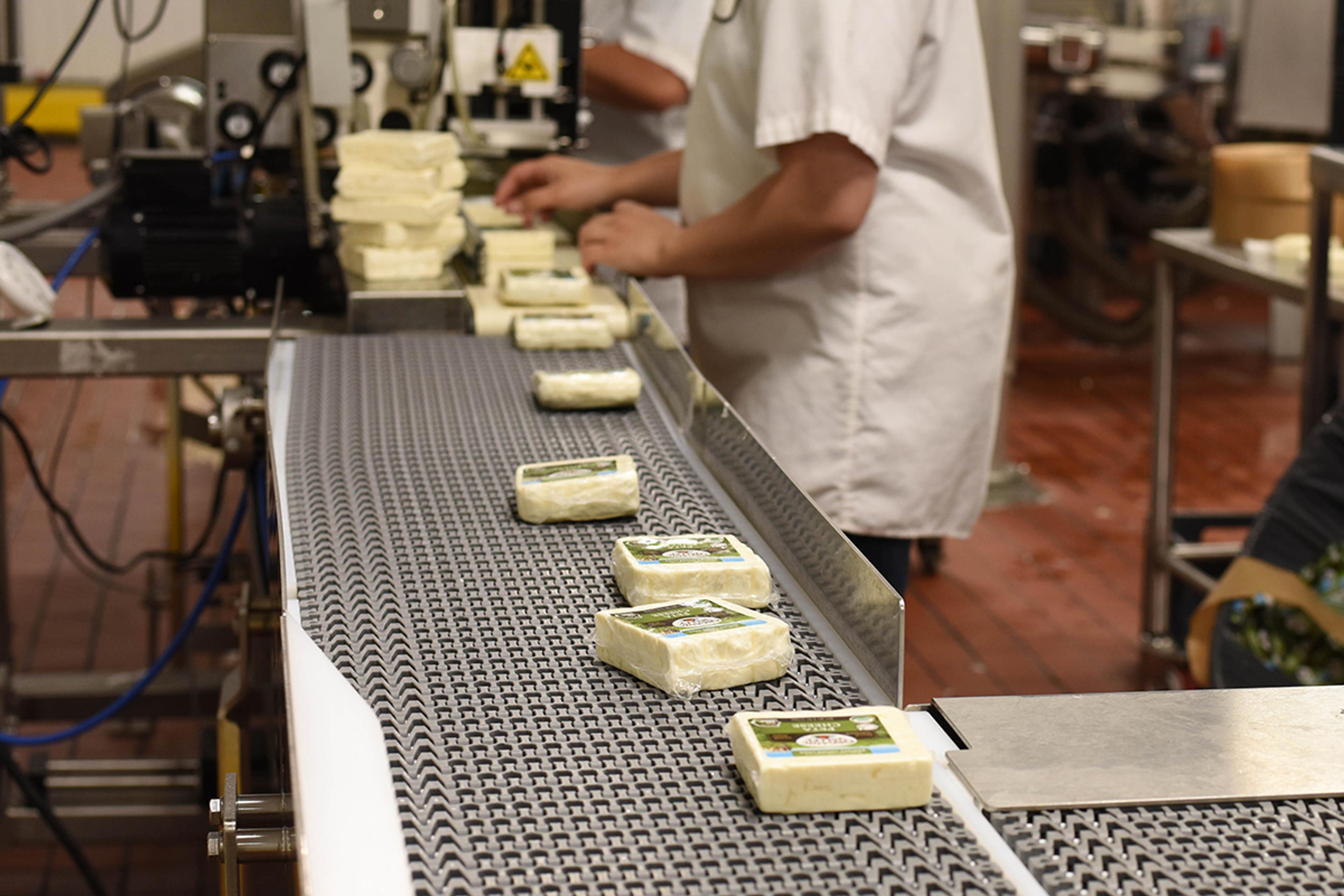 Organic Valley cheese goes through the production line.