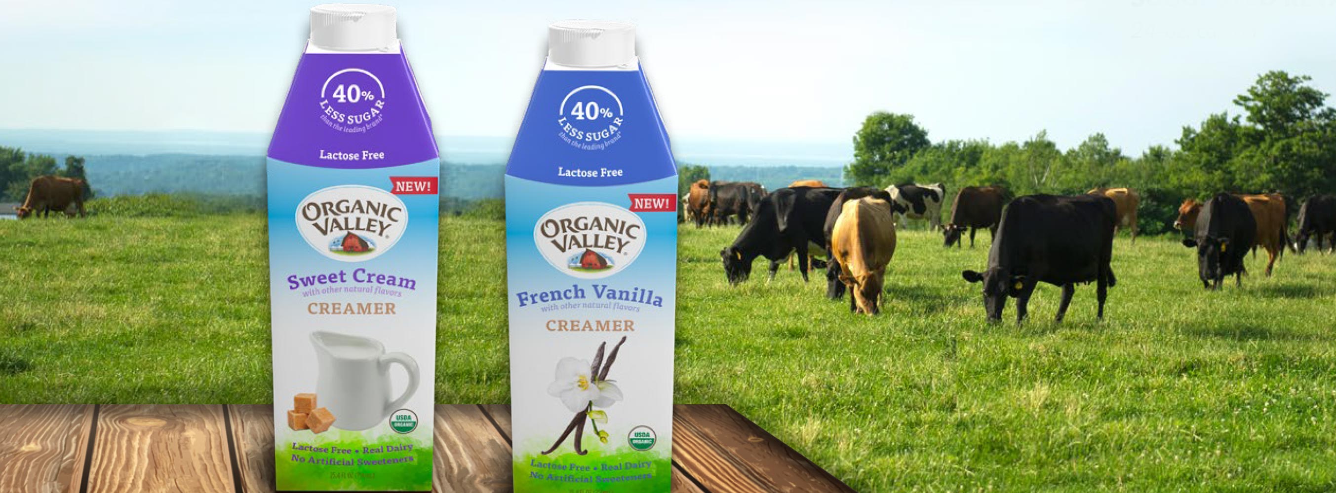 Organic Valley Launches New LactoseFree Flavored Creamers With 40