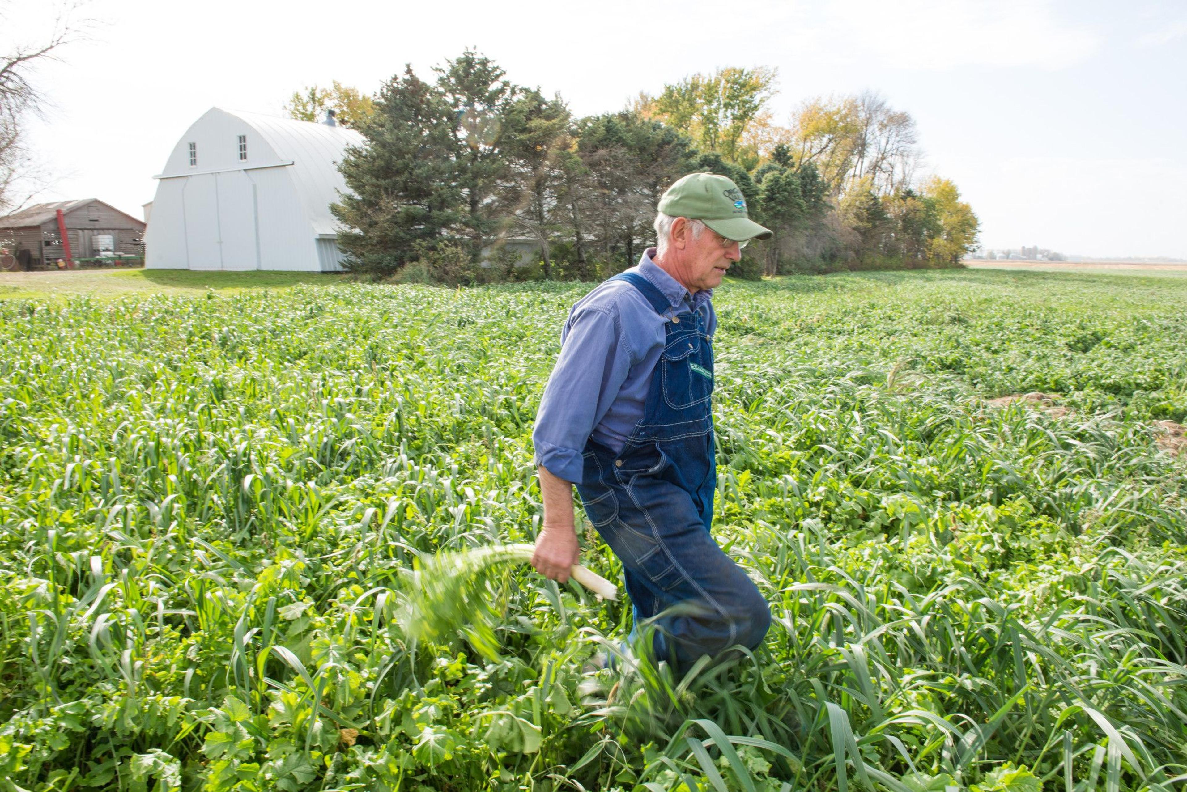 The Yokiel family farm in Minnesota.