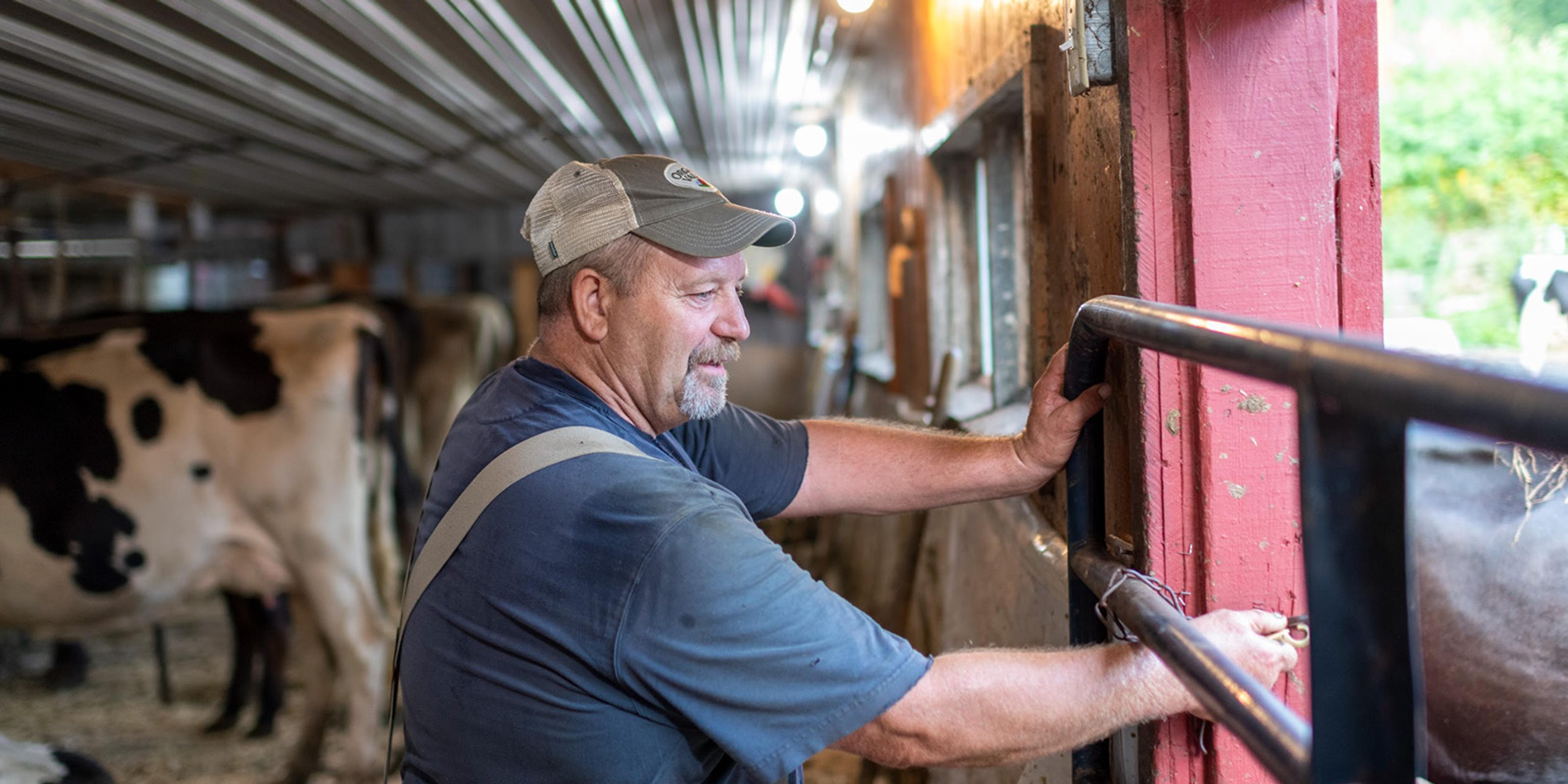 A Maine farmer closes a barn gate.