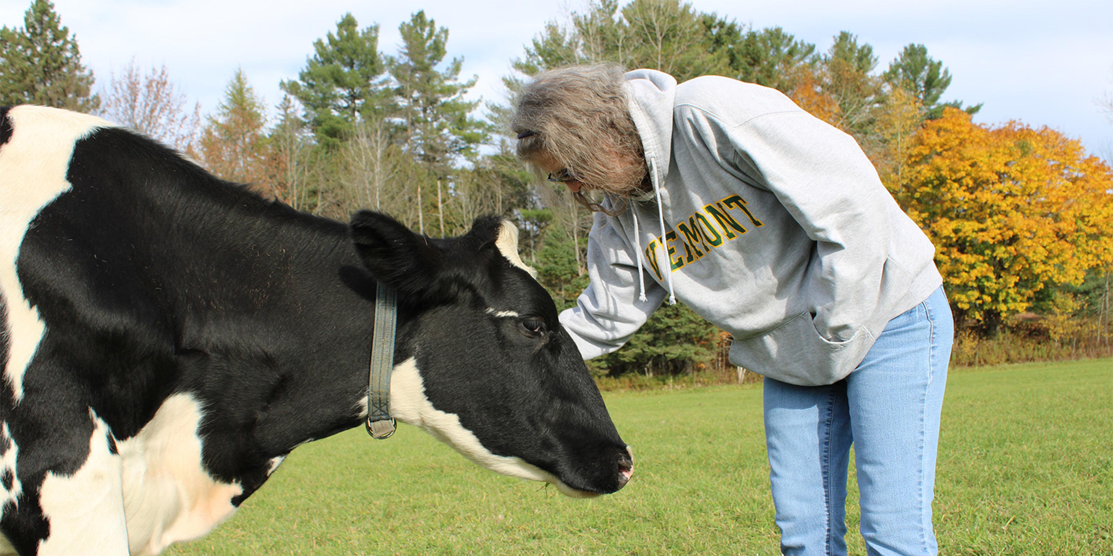 A cow and farmer in a field.
