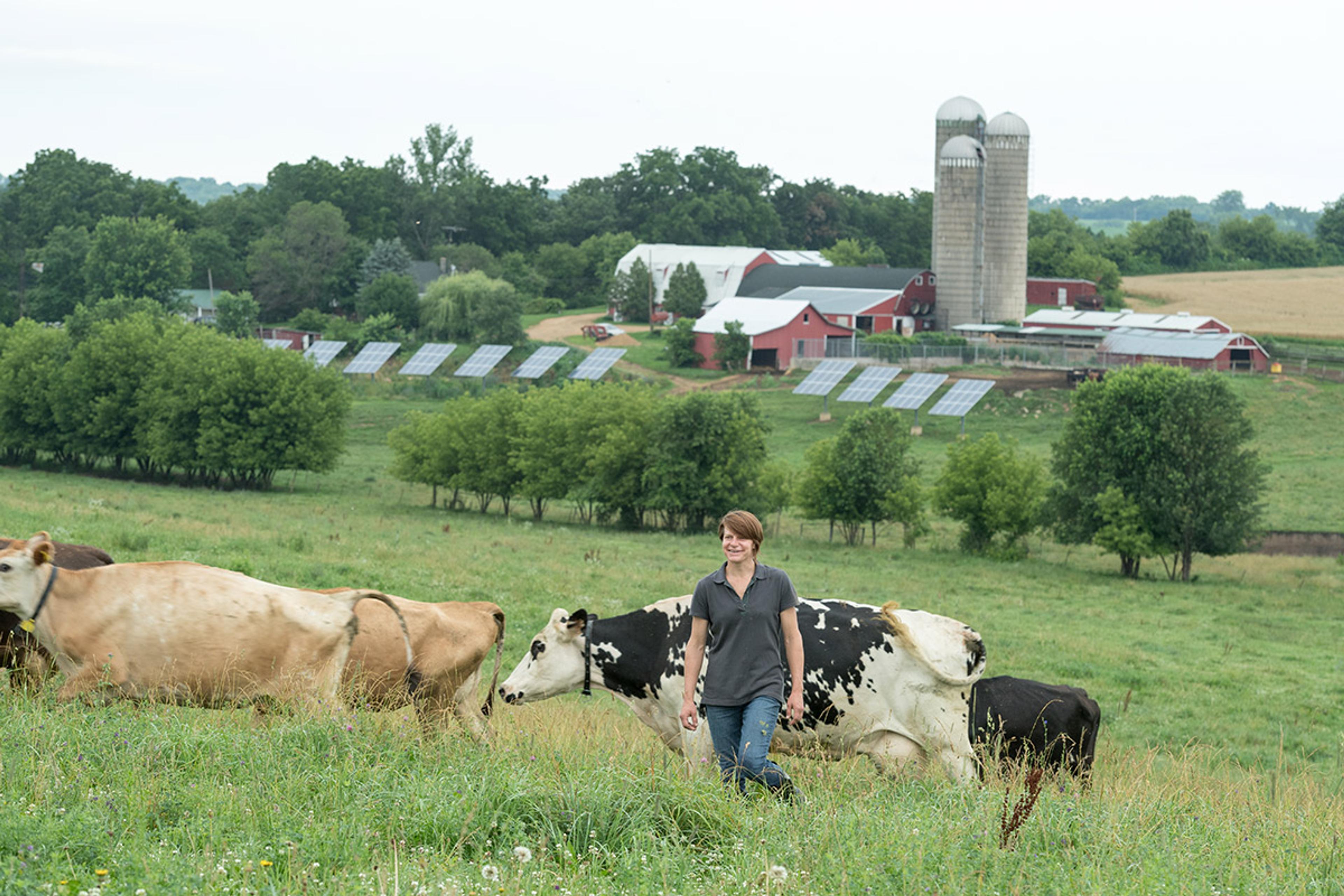 Woman walks through green pasture on farm in Wisconsin with solar panels in the background.