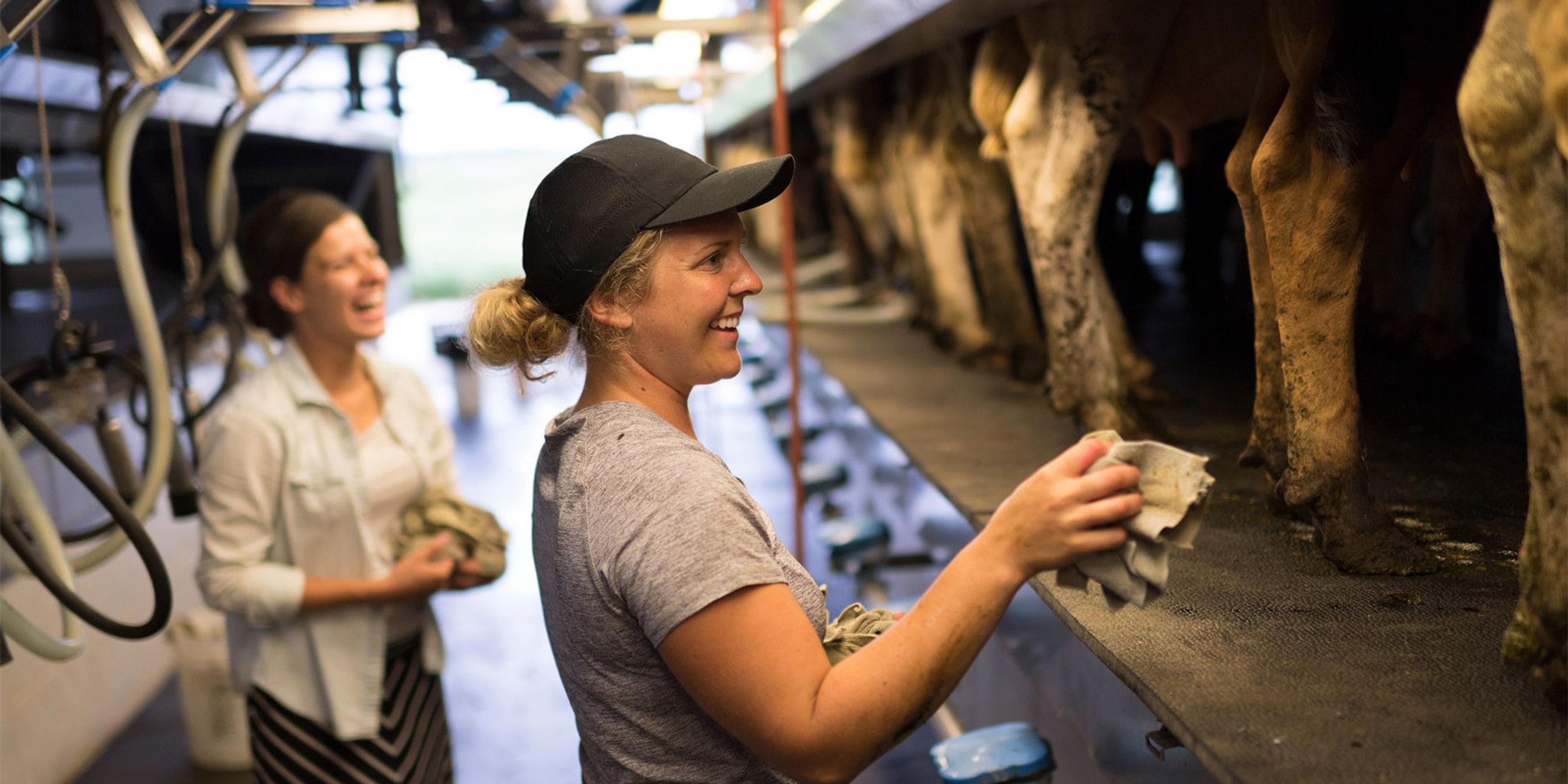 Julia Gasser and Joanna Gasser milk cows on their organic dairy farm.