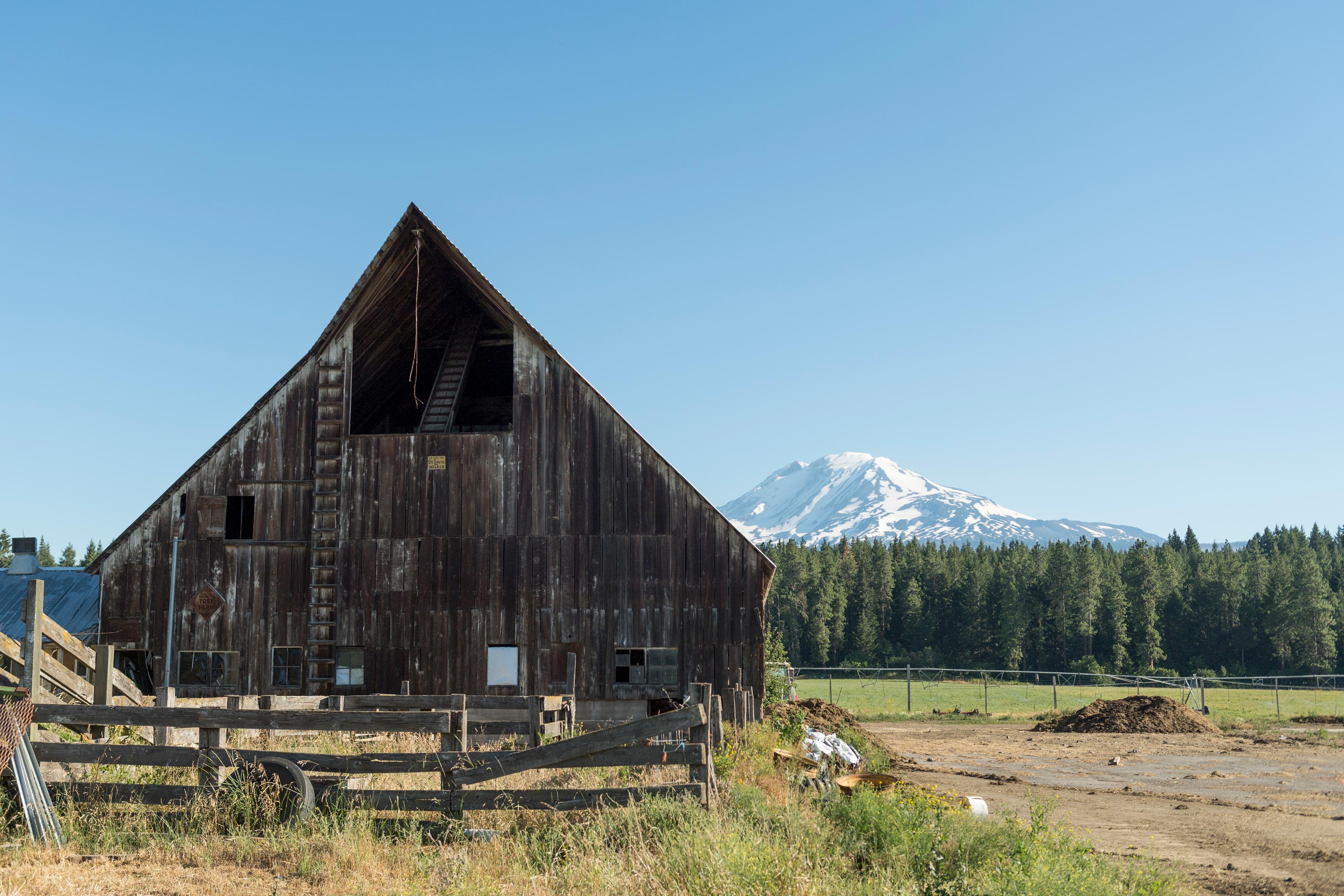 A mountain can be seen in the distance behind an old barn on an organic farm in Washington.