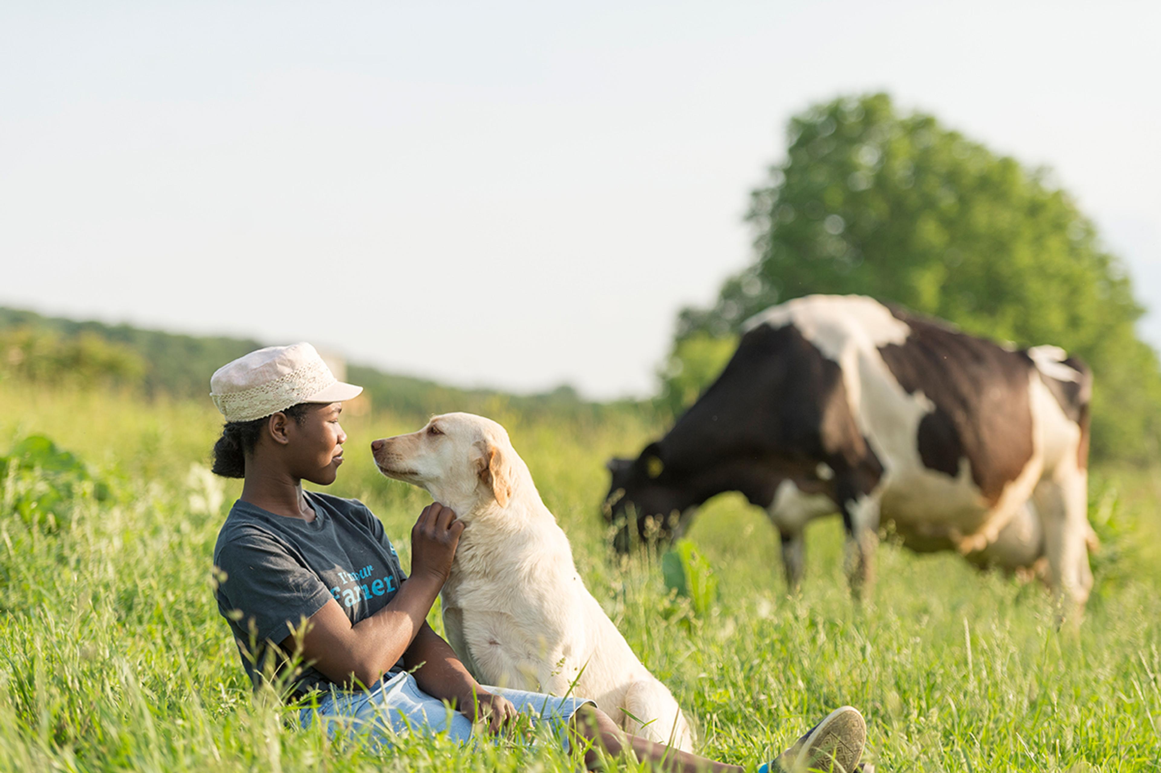 A girl and a yellow lab sit in a pasture looking lovingly into each other’s eyes while a Holstein cow grazes in the background..