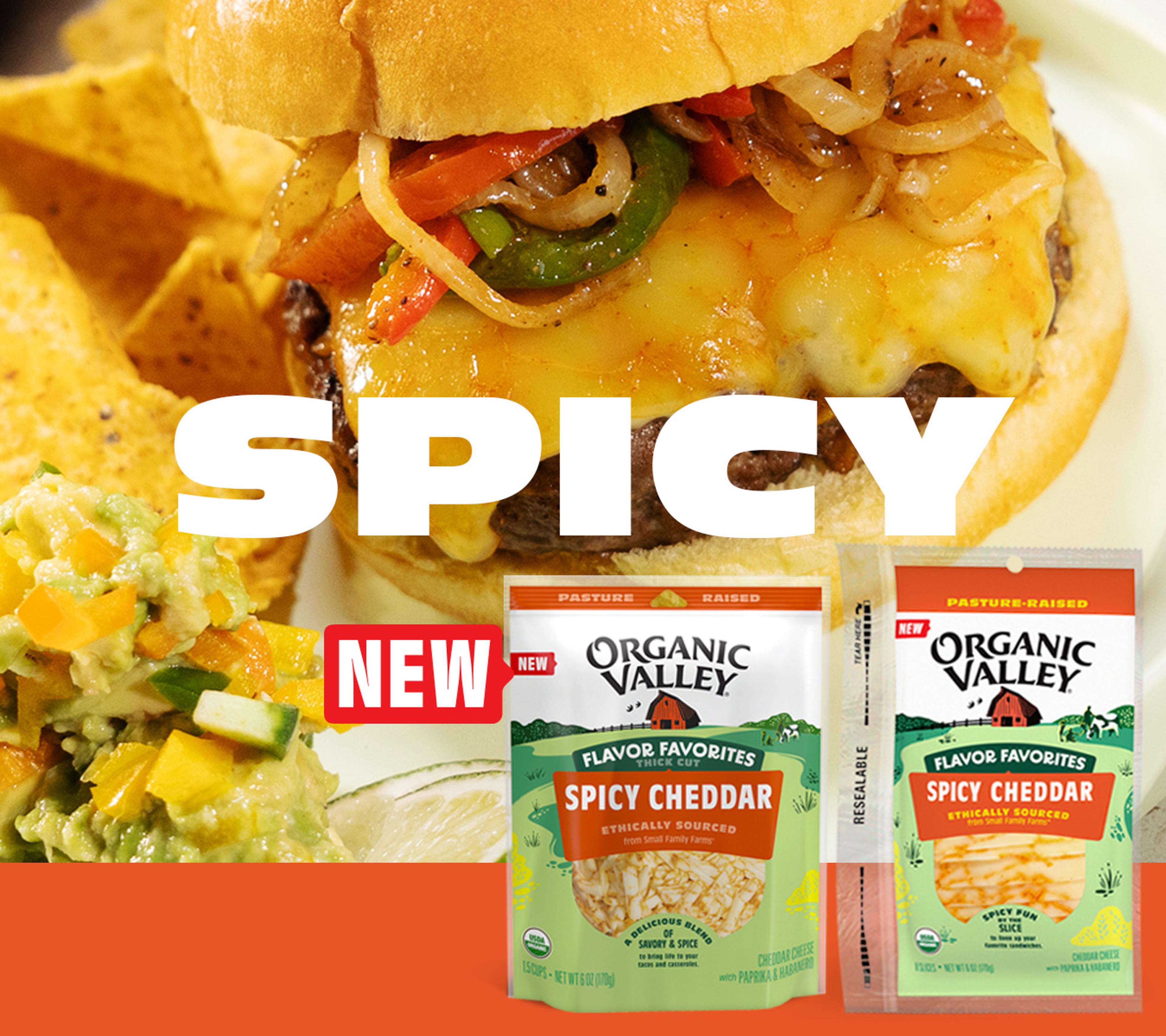 Organic Valley Spicy Cheddar shredded cheese and sliced cheese in front of a cheeseburger.