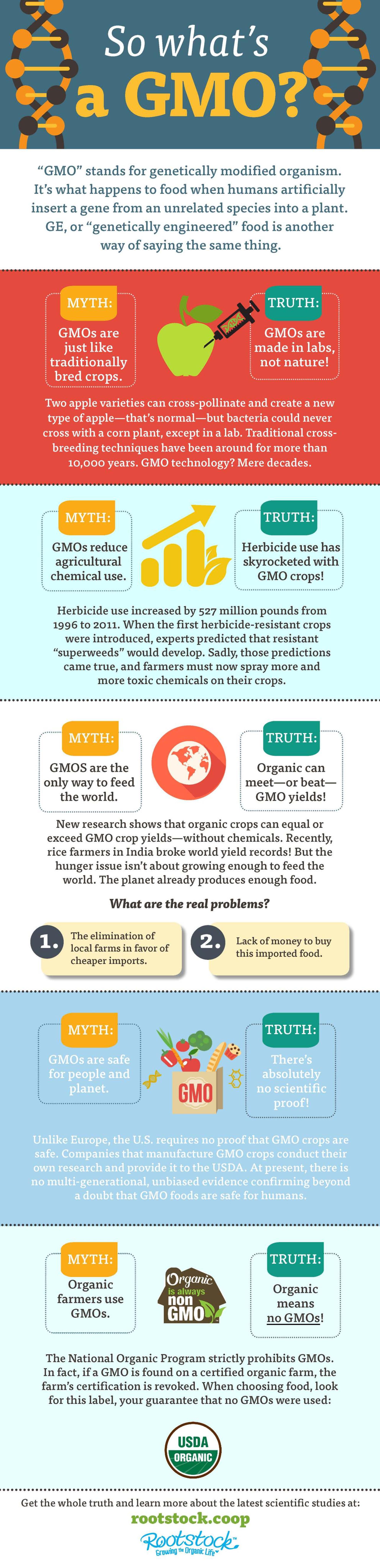 This infographic explains what a GMO is.
