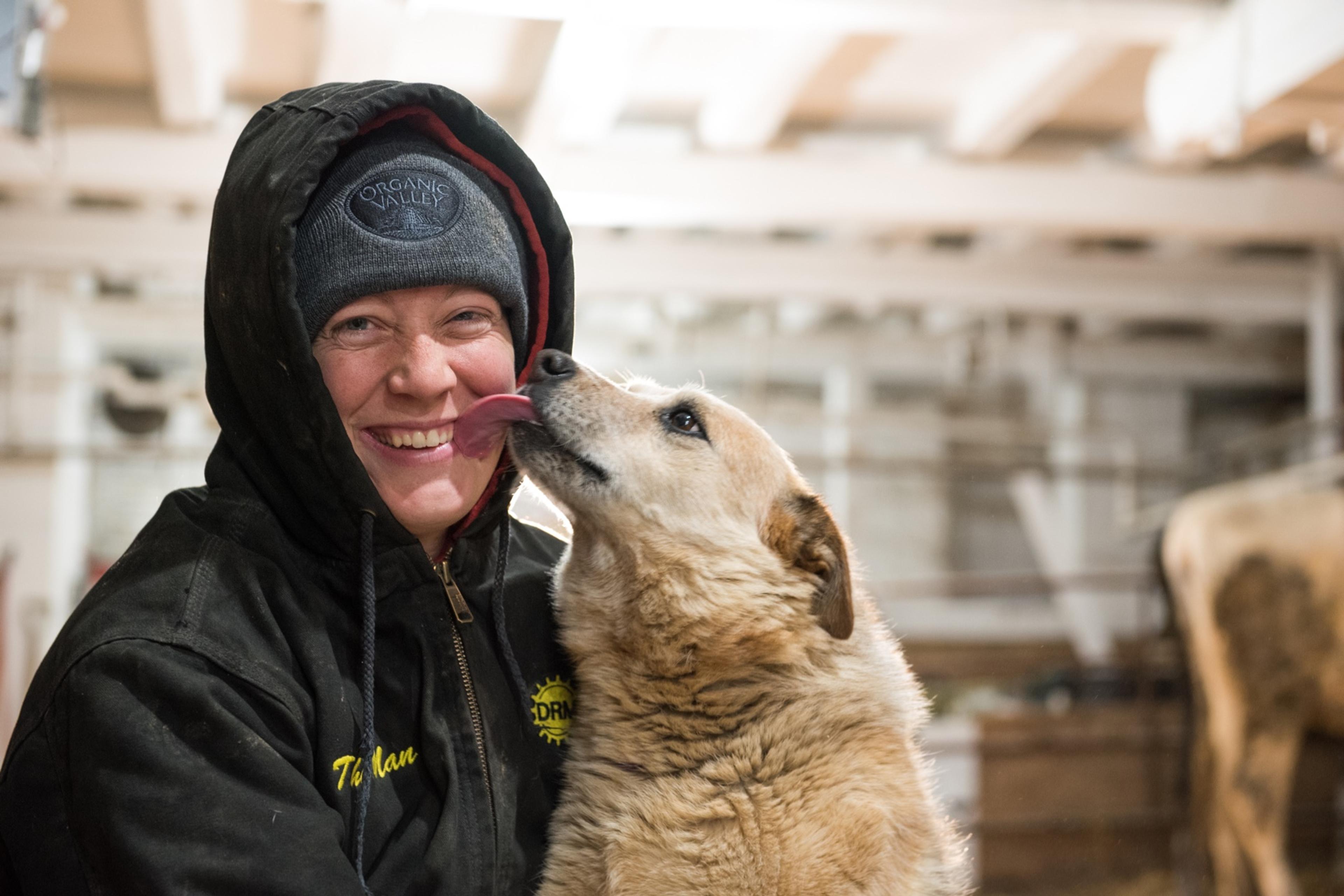 In the milking barn, Amy smiles while her dog licks her face.