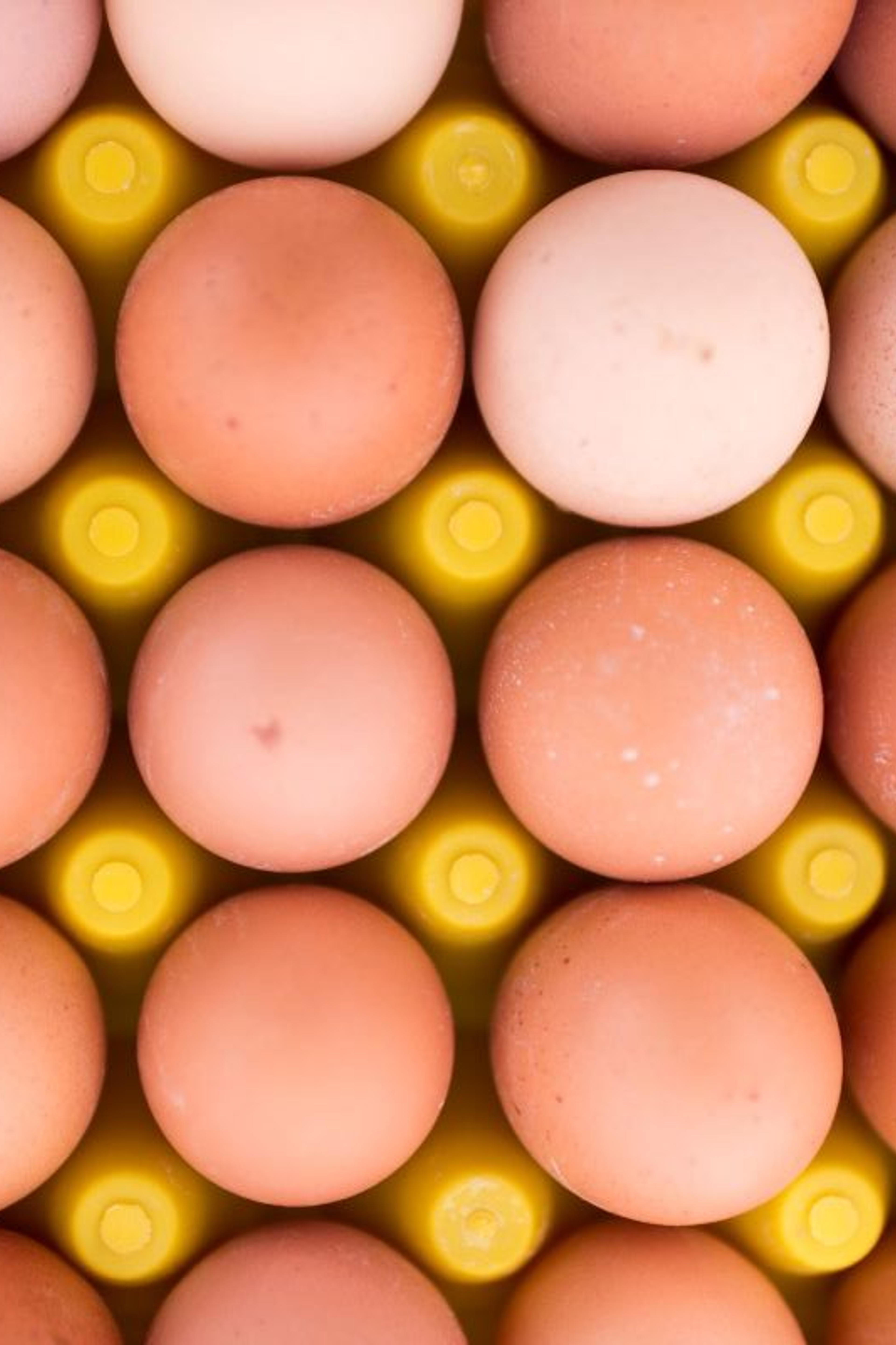 A crate of organic eggs is shown at an Organic Valley farm.