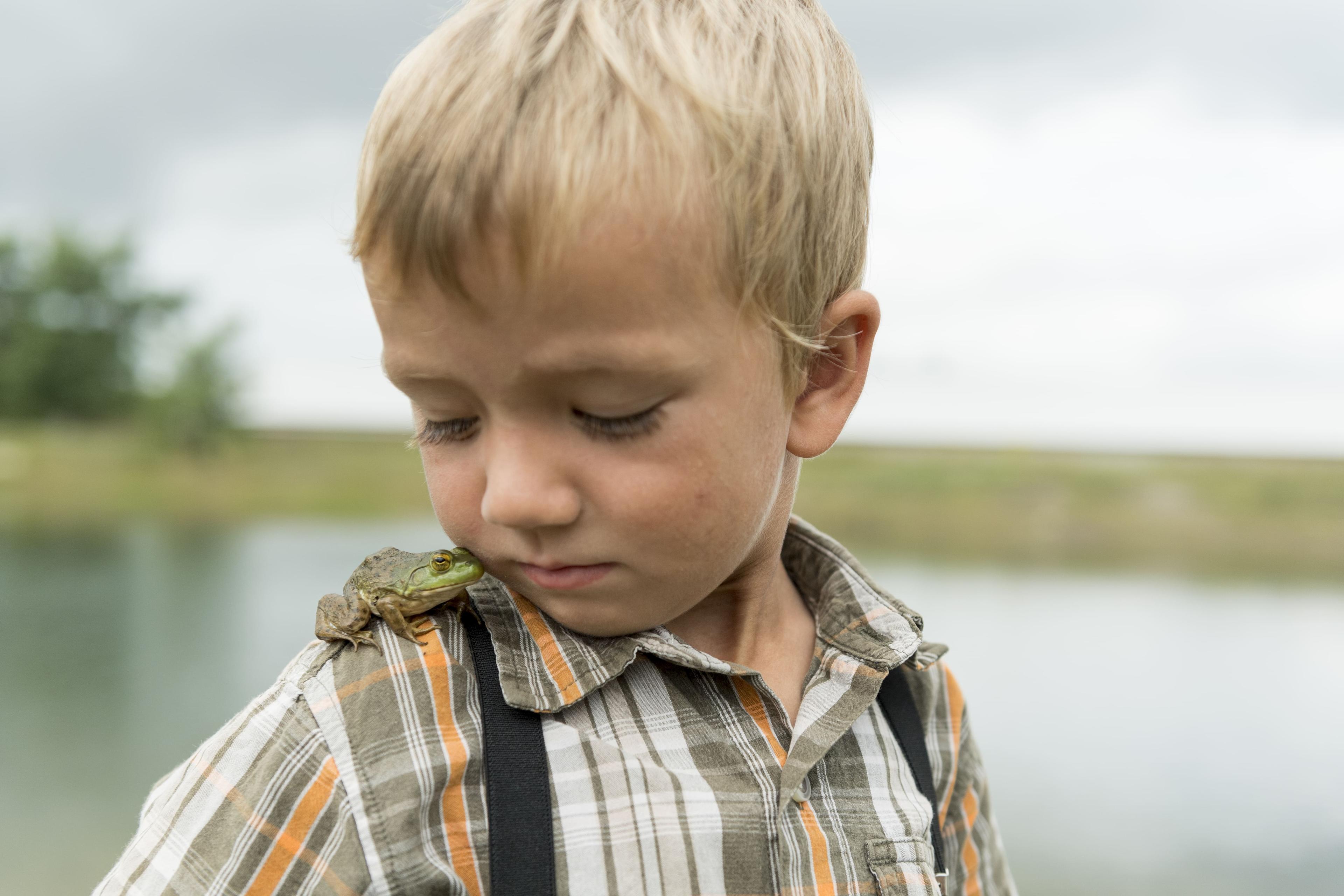 A frog sits on a boy's shoulder.