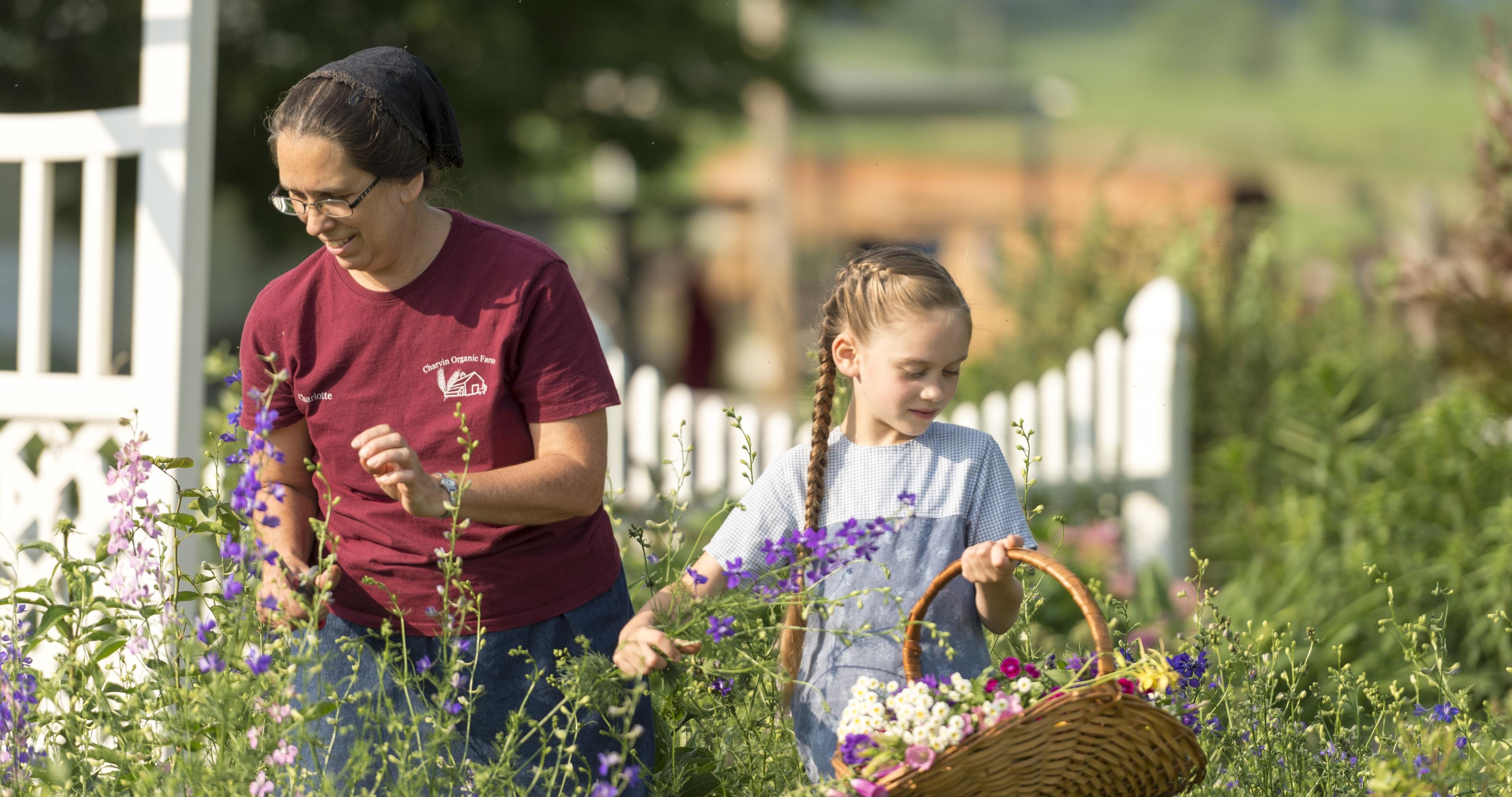 A woman and girl pick flowers and put them in a basket. A picket fence in the background.