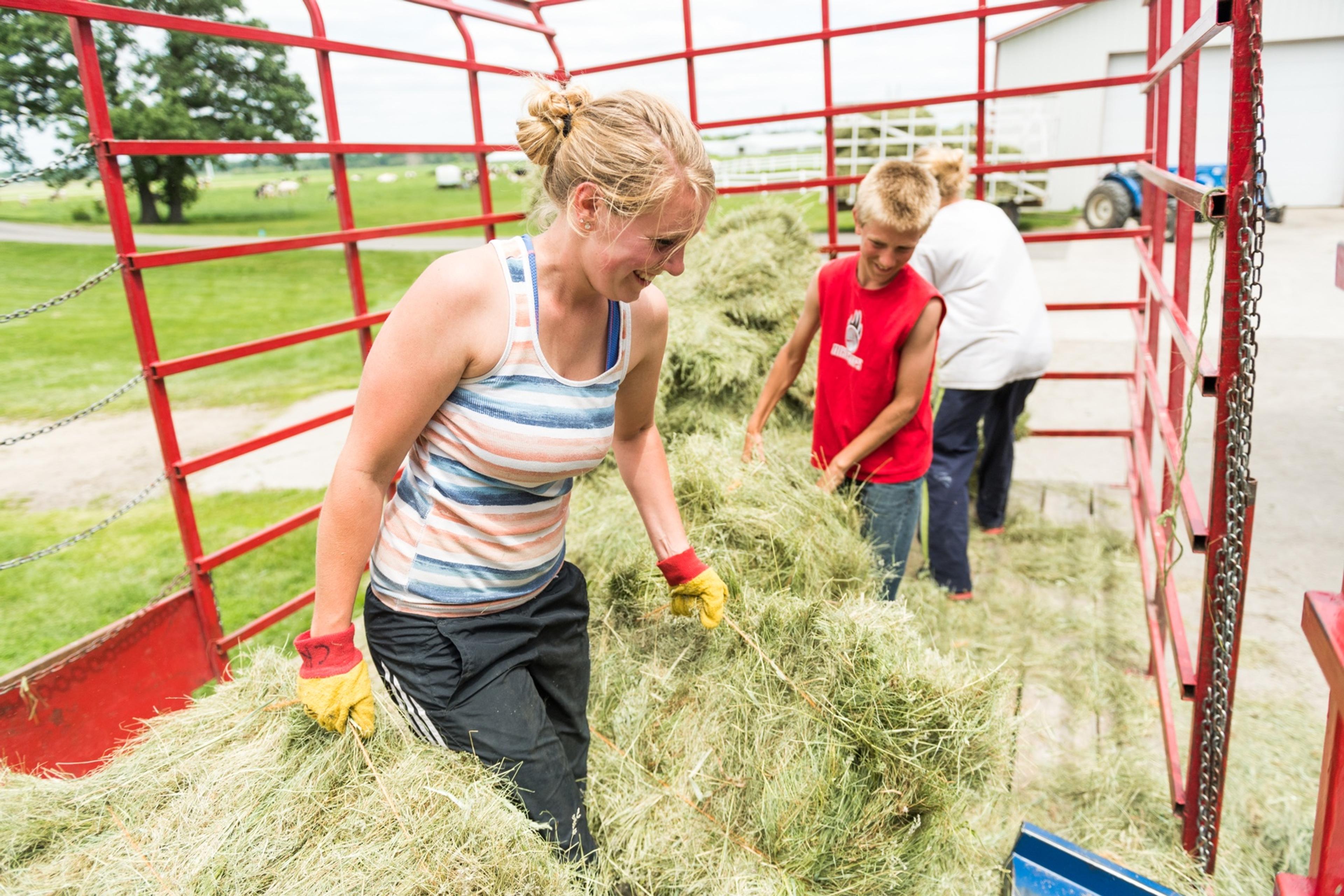 A woman farmer throws grass hay from a trailer into a chute.