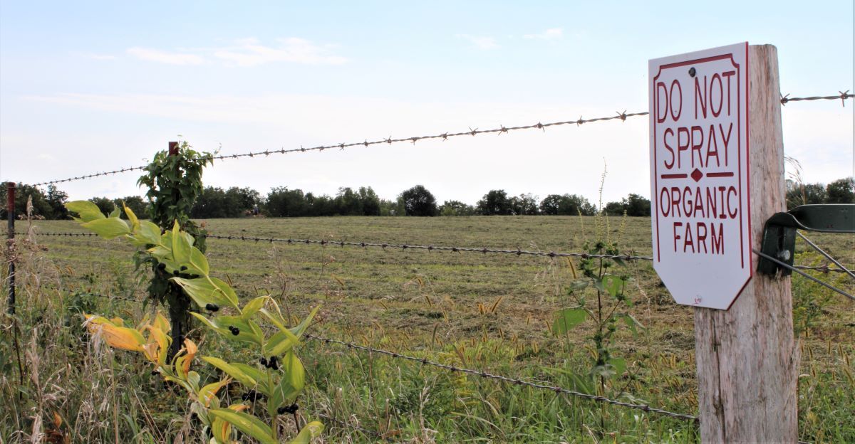 where to buy glyphosate herbicide Roundup 360 Plus Glyphosate Herbicide 1L  Friend of Gardeners