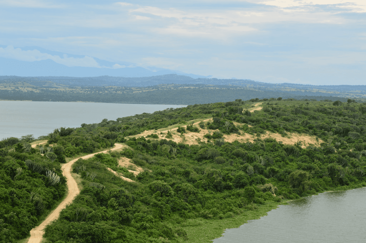 Pioneering next-generation animal tracking