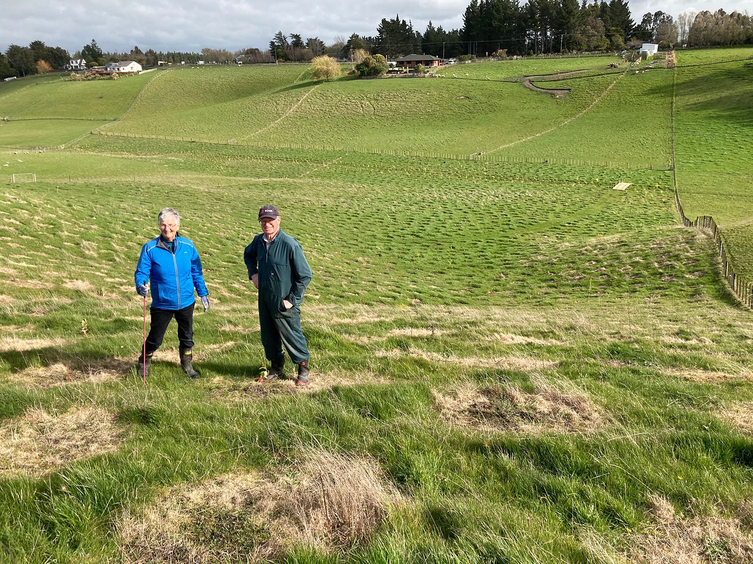 A little means a lot at Road Trees That Count