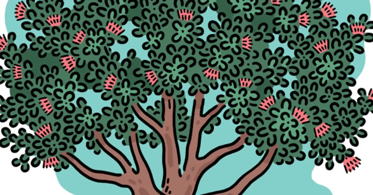 Learn more about the Pōhutukawa tree and more native trees of New ...
