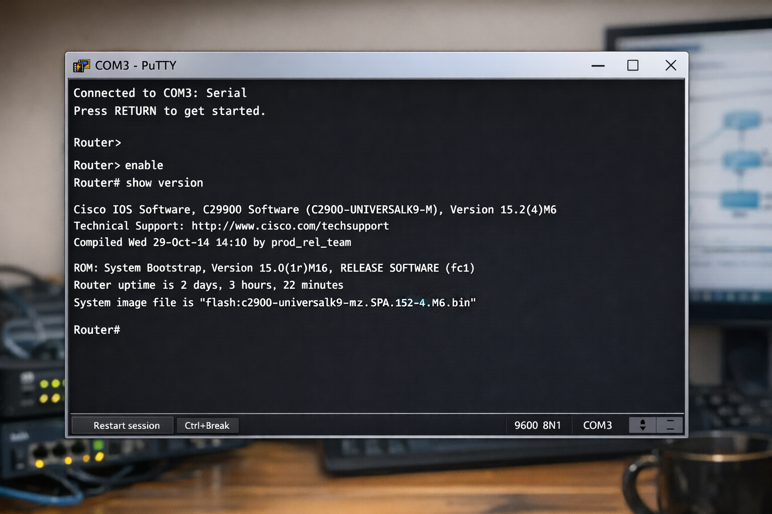 Putty/Terminal Window