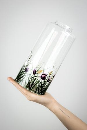 Tulips - Produkt značky Evpas
