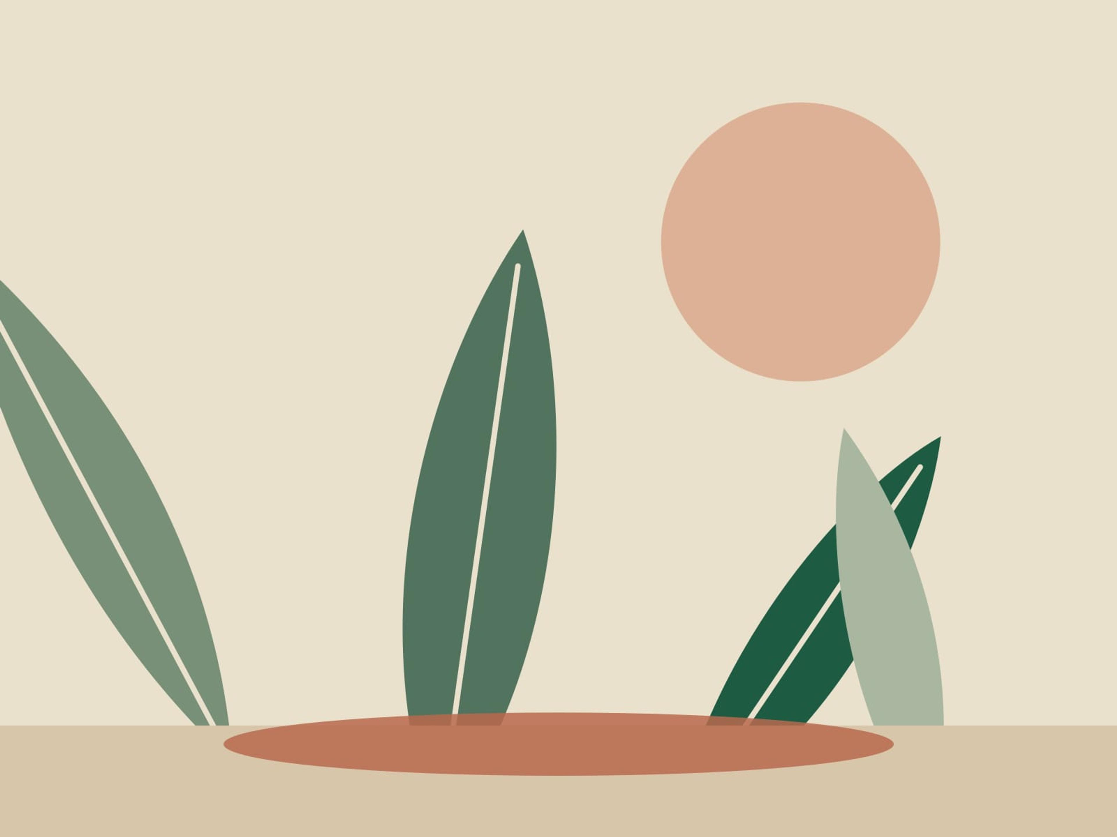 Illustration of tall garden leaves around a terracotta mat in soft morning light.