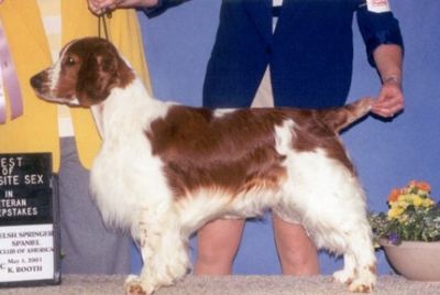 Baxter