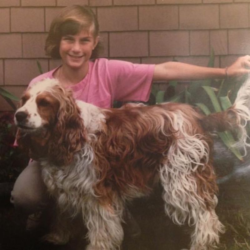 Rainbow's End Welsh Springer Spaniels