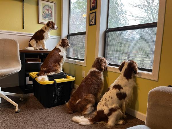 Gallery photo
