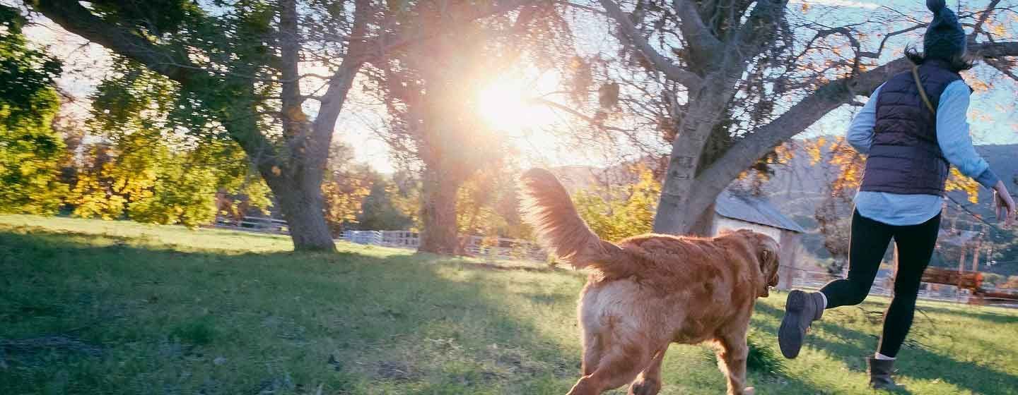 puça-cavell-andorra