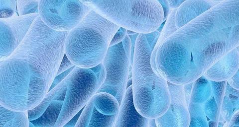 legionella-andorra