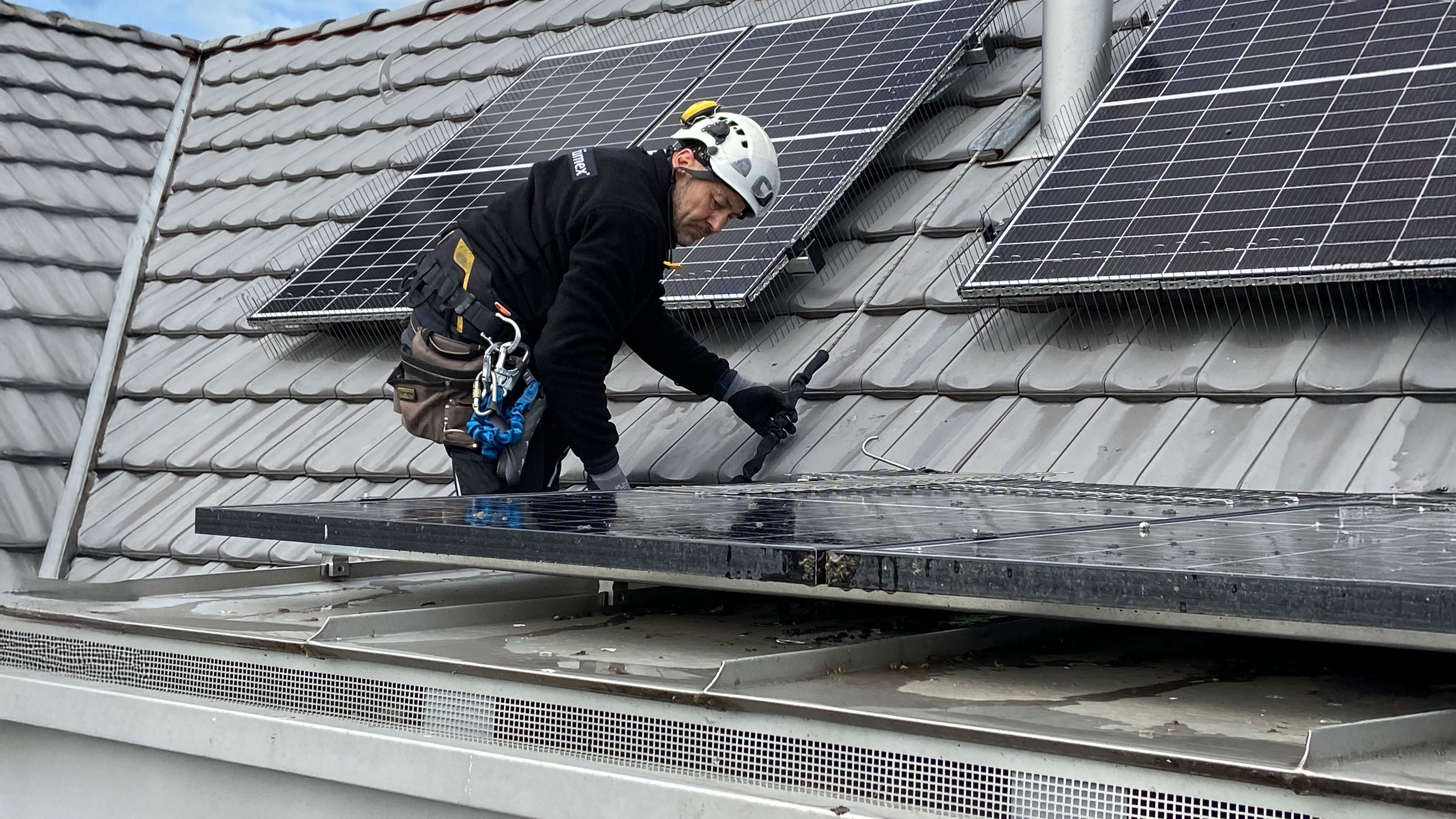 Taubenabwehr von Solarpanelen und Photovoltaik