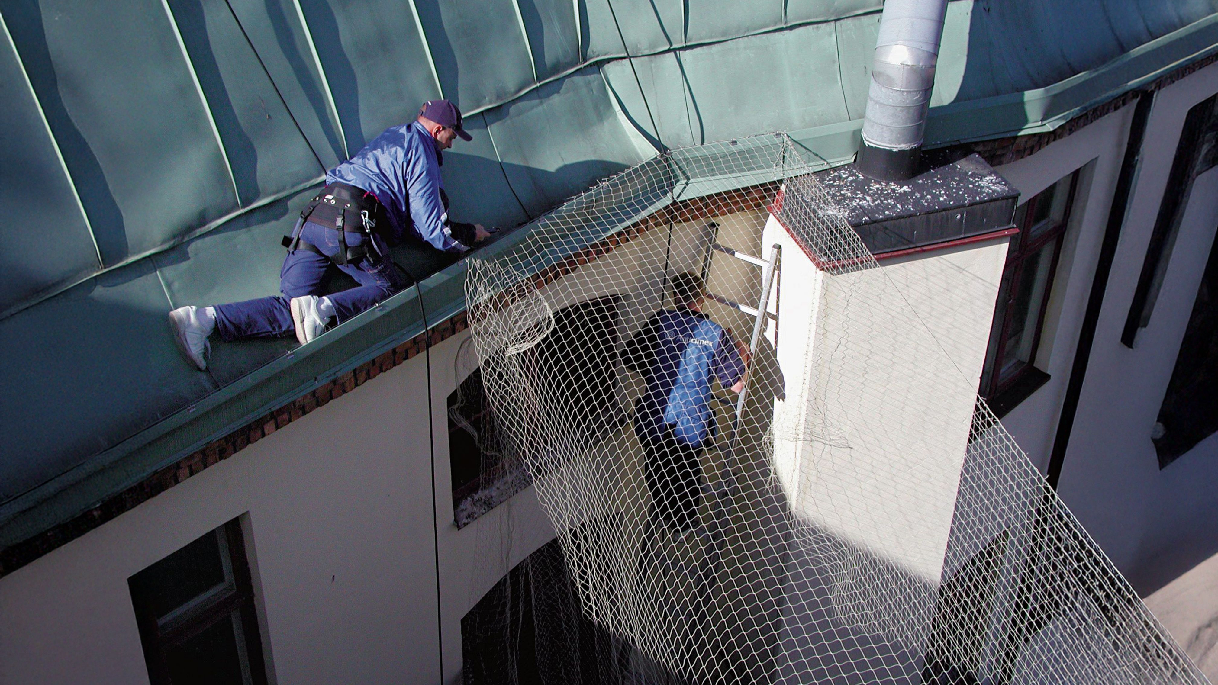 Vorbereitung zur Taubenabwehrvernetzung