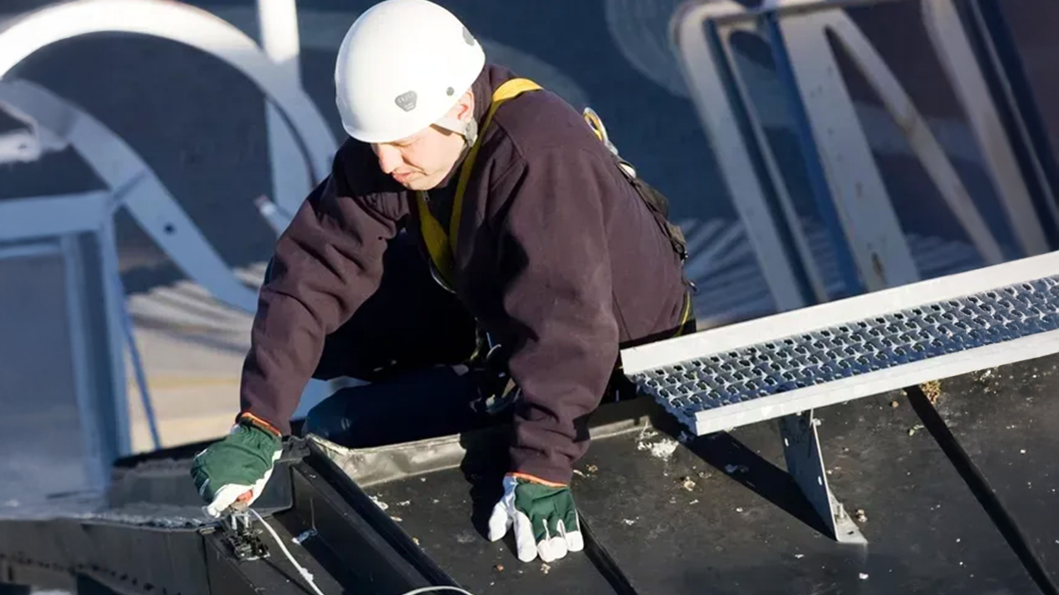 Servicetechniker bei der Montage einer Taubenabwehr