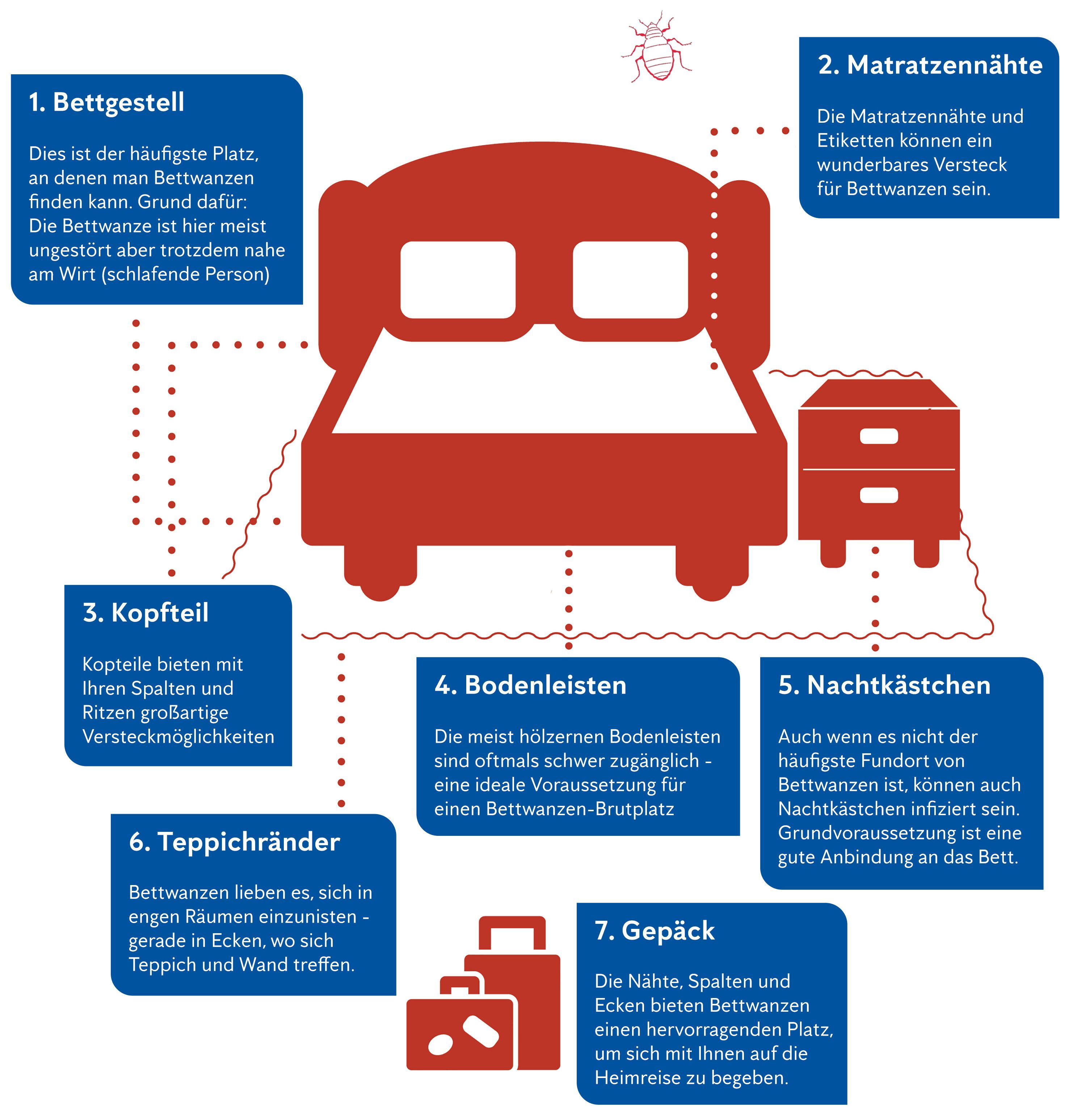 7 Lieblingsverstecke von Bettwanzen