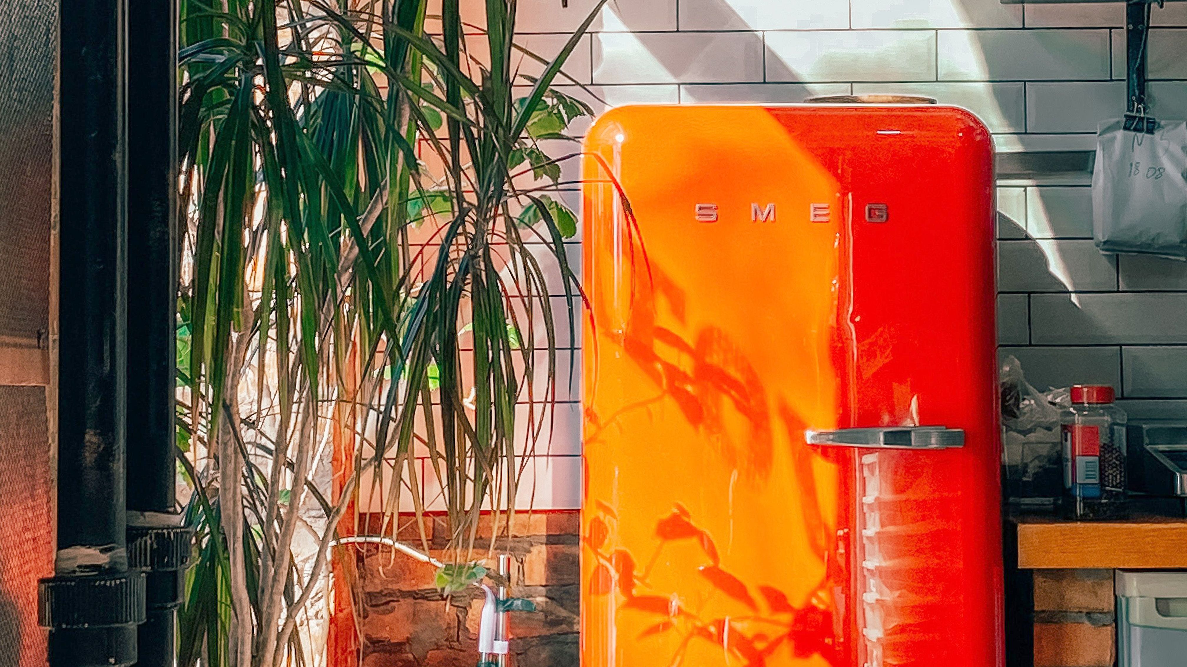 Kältebehandlung gegen Bettwanzenbefall