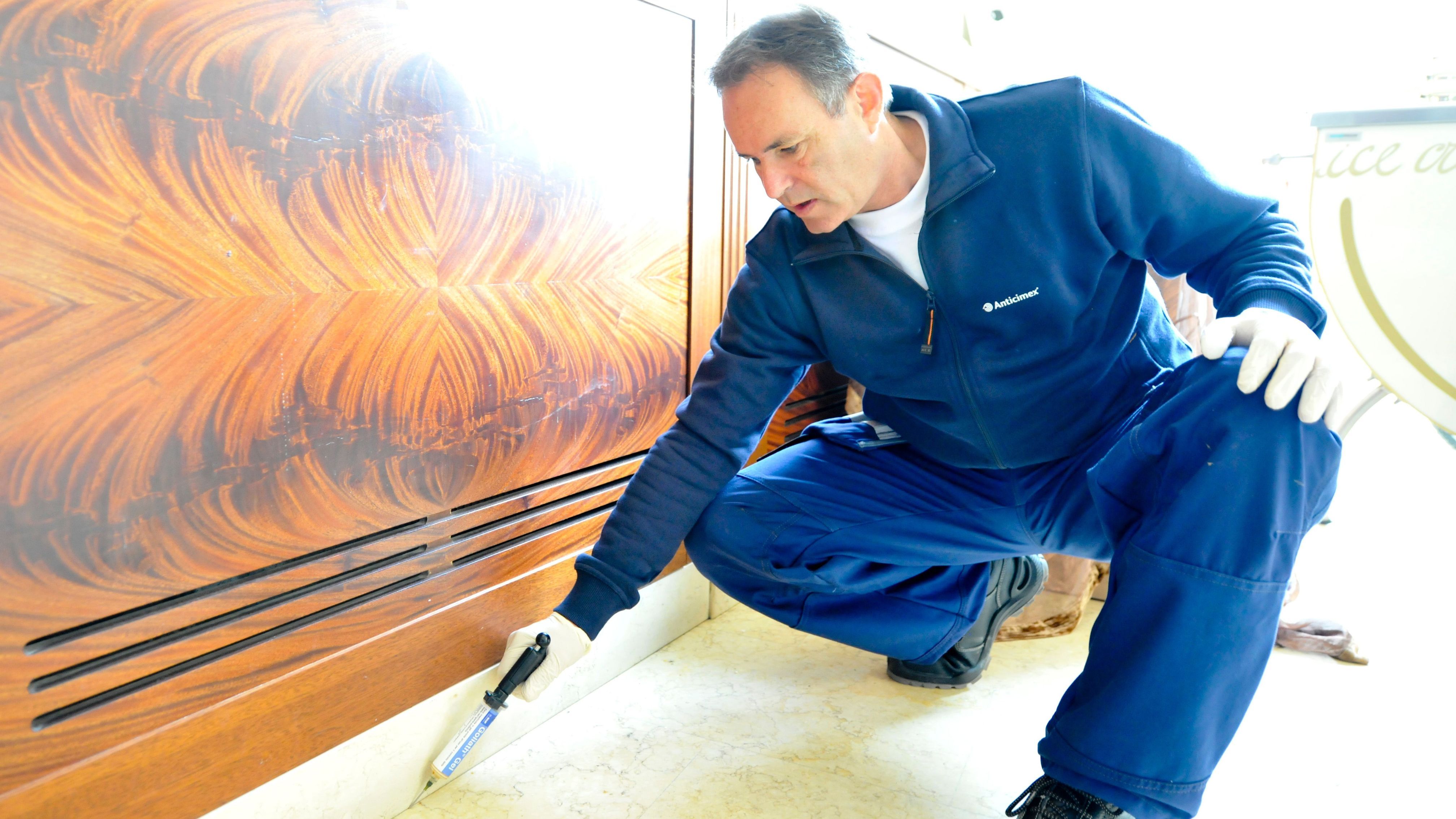 Schabenbekämpfung für Privatkunden