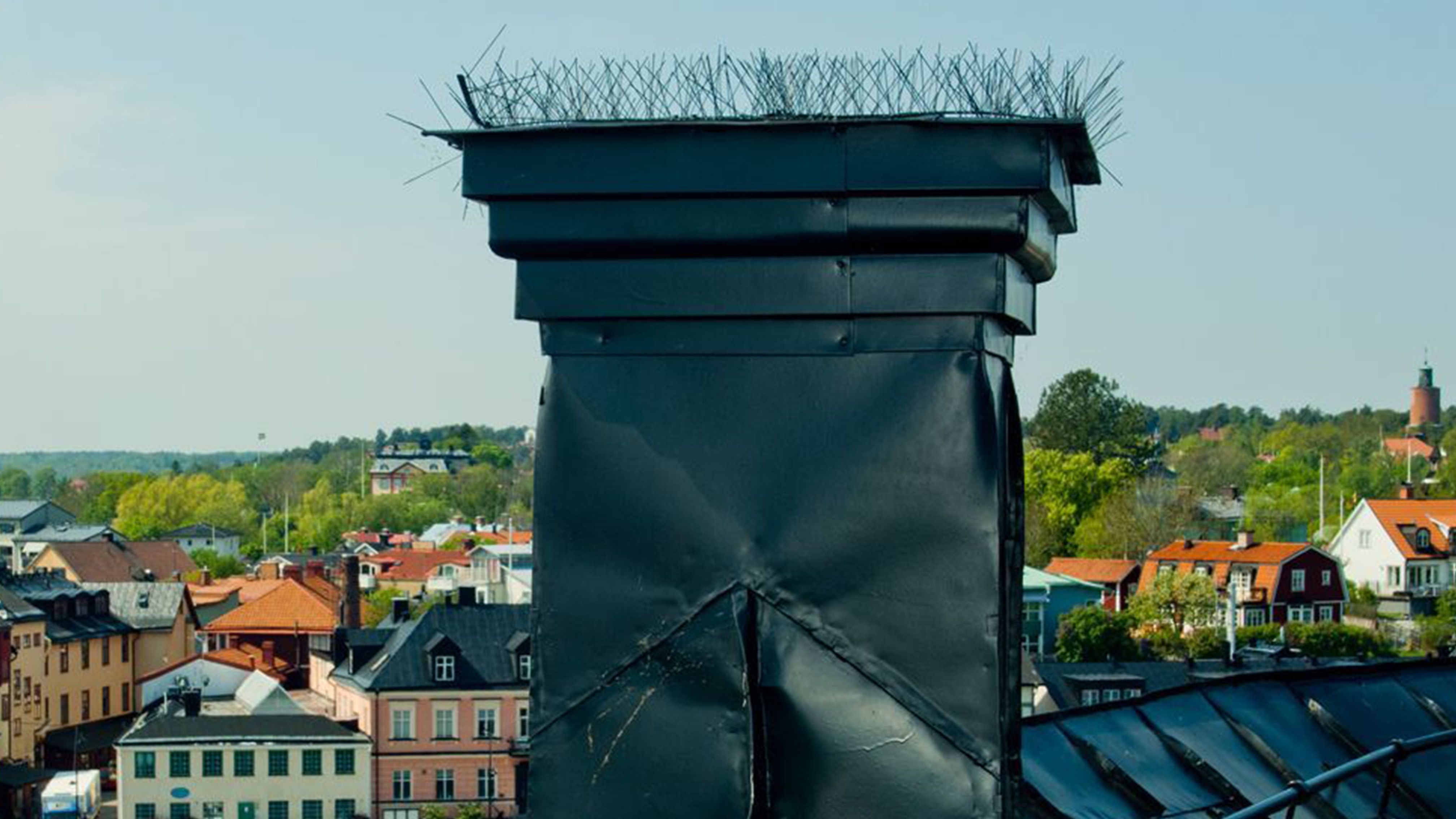 Taubenspikes Vogelabwehr