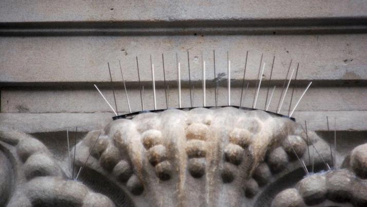bird deterrent spikes