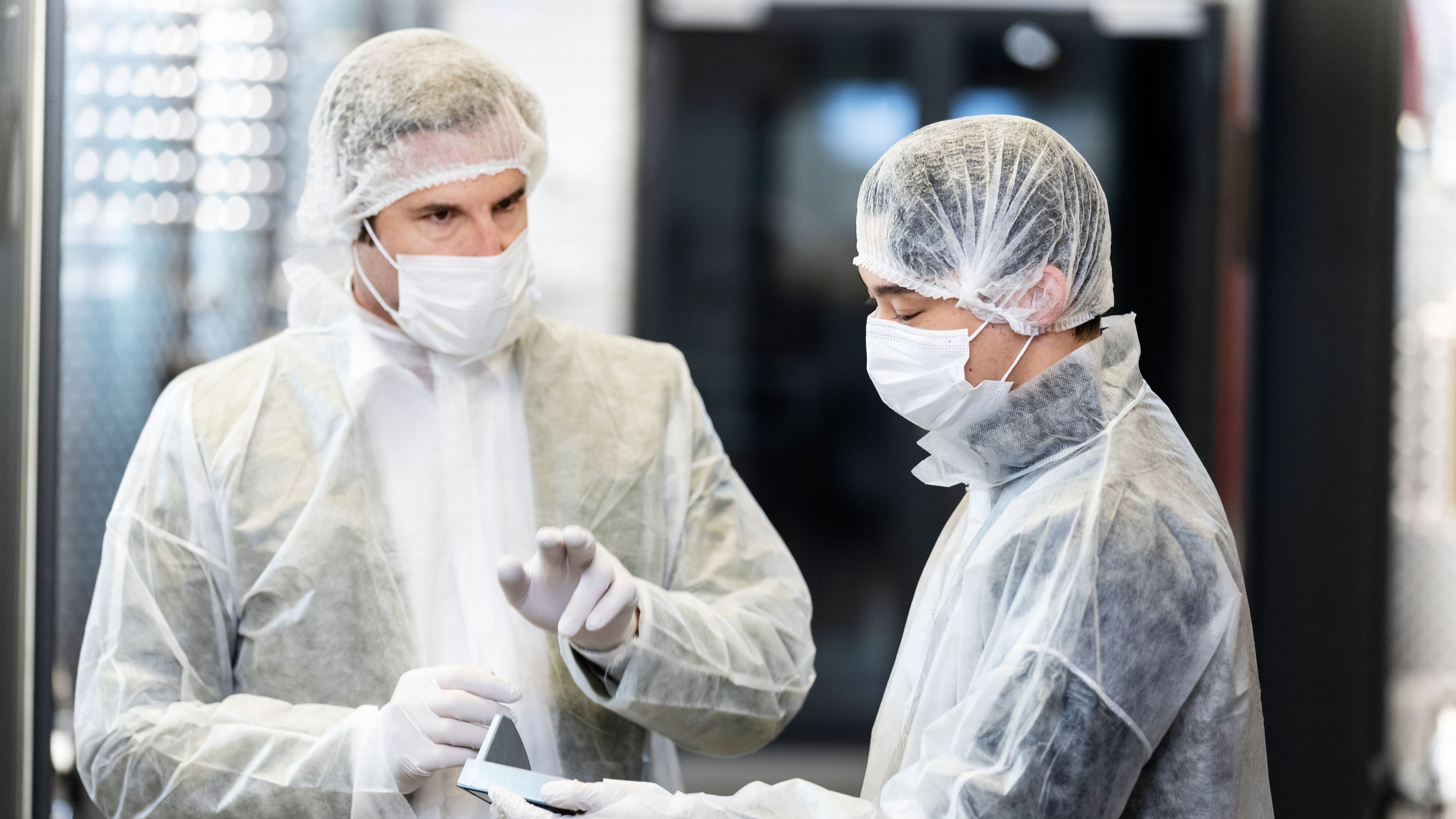 Relevanz eines integrierten Schädlingsmanagements für Hotels