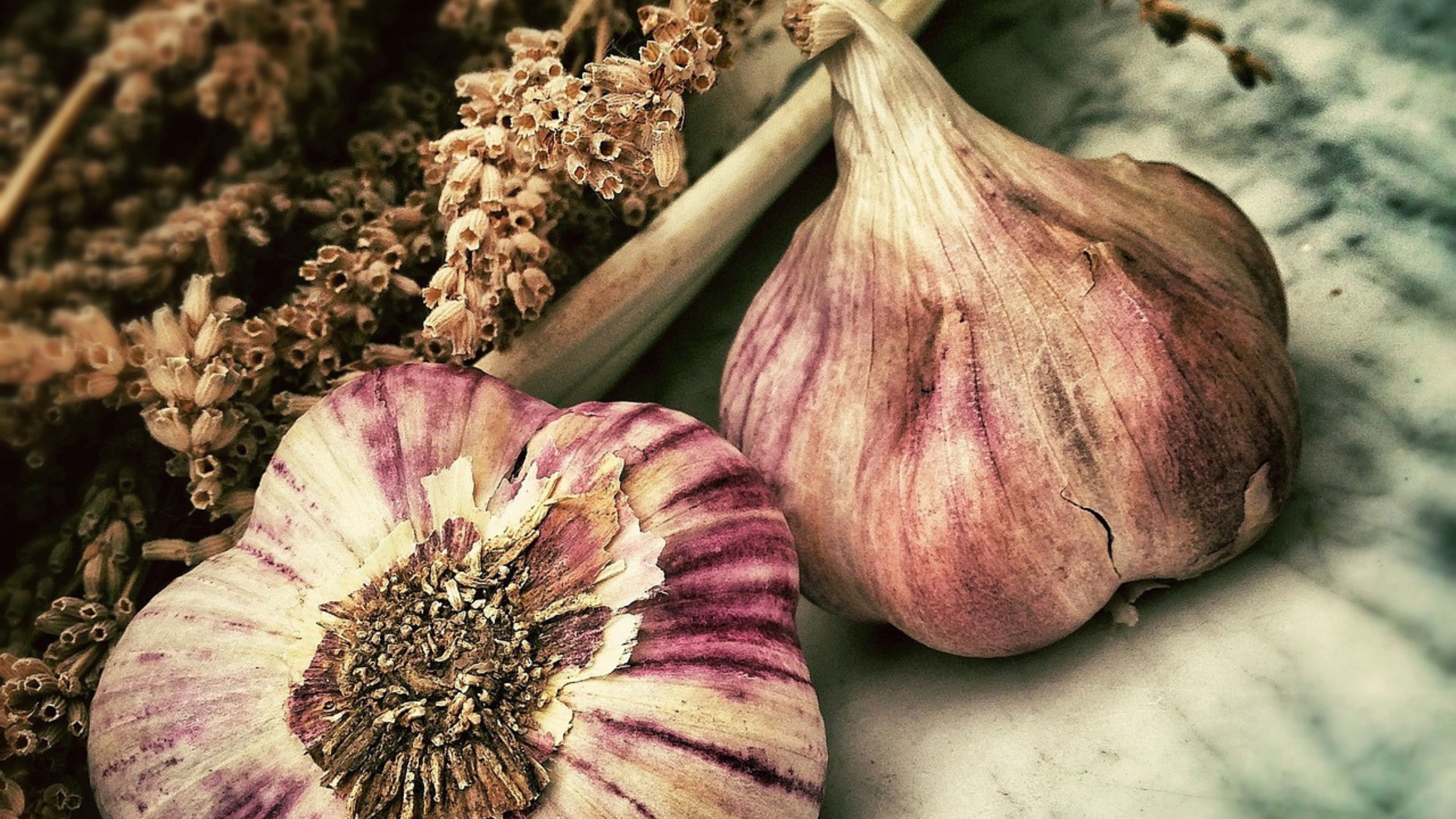 Knoblauch, Zwiebel und Pfeffer gegen Schaben