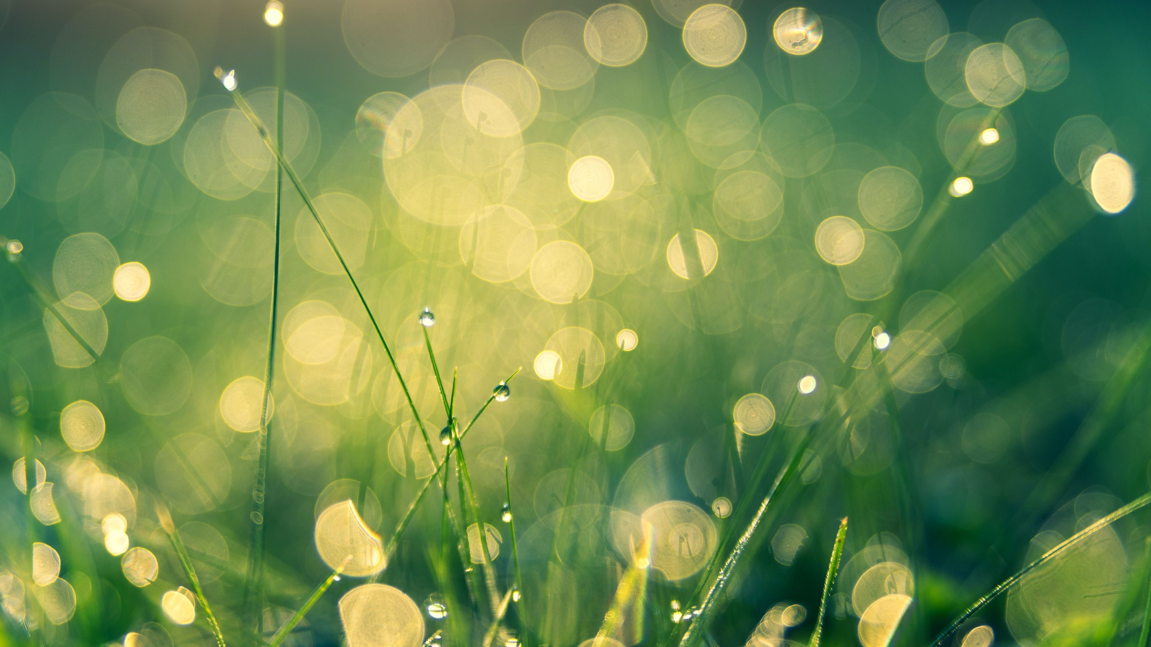 Nachhaltige Schädlingskontrolle