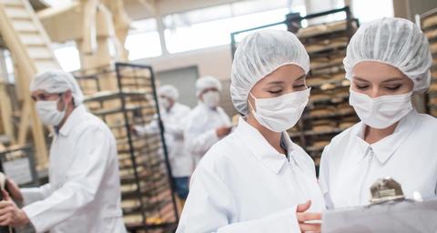 Lebensmittelindustrie Schädlingsbekämpfung