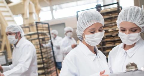 Schädlingsprävention in Lebensmittelbetrieben