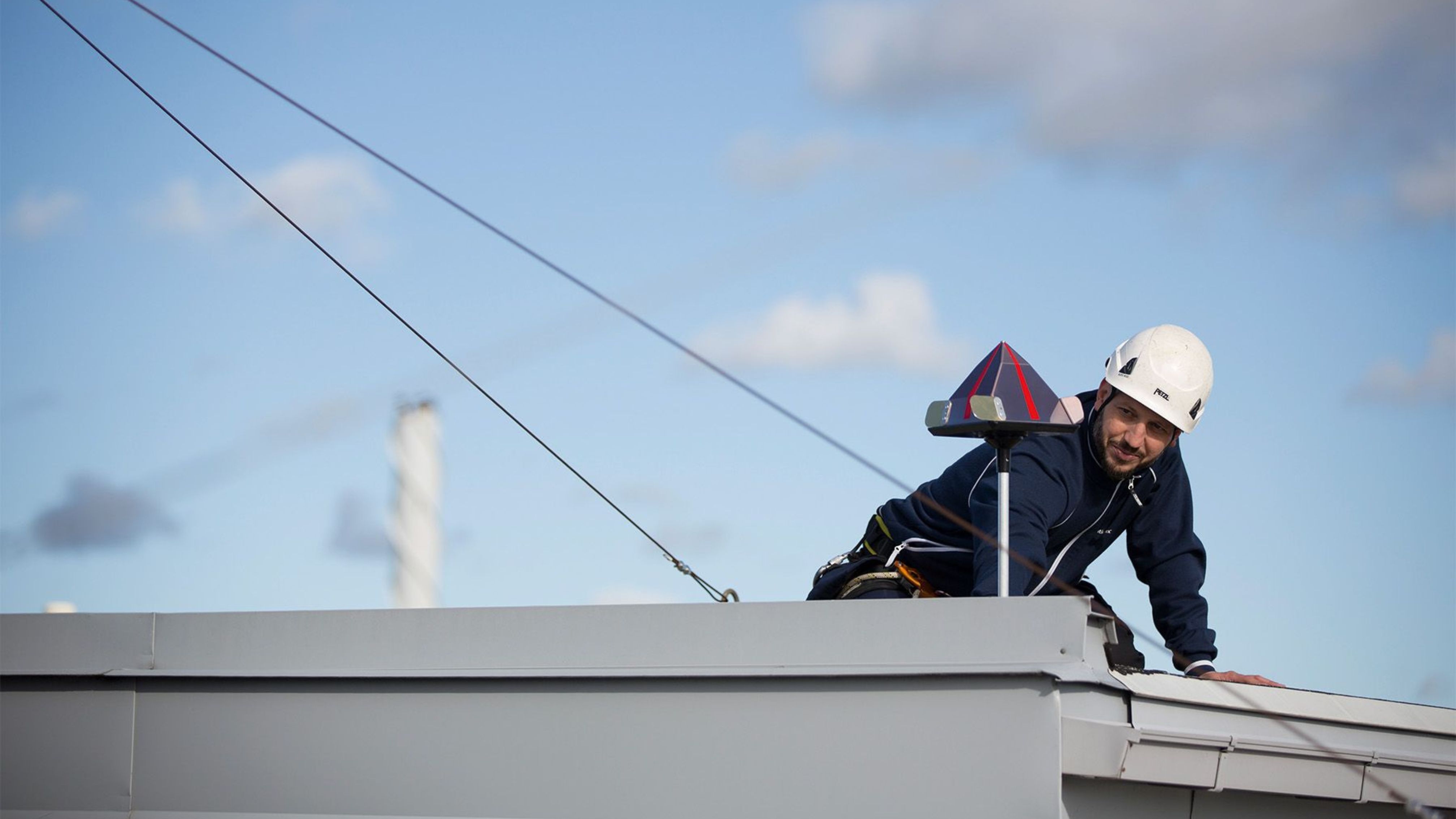 bird specialist installing bird deterrent