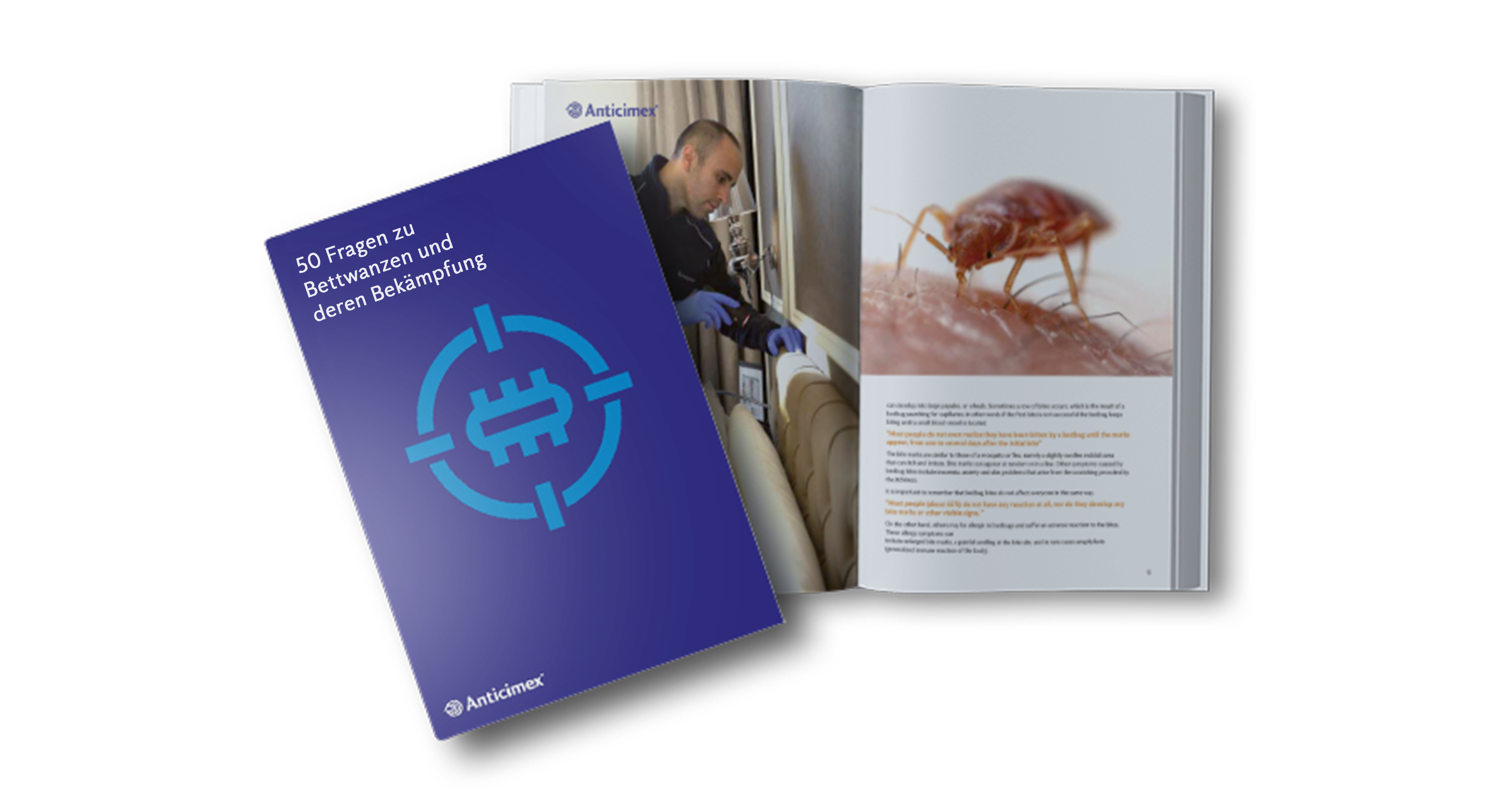 50 Fragen zum Thema Bettwanzen