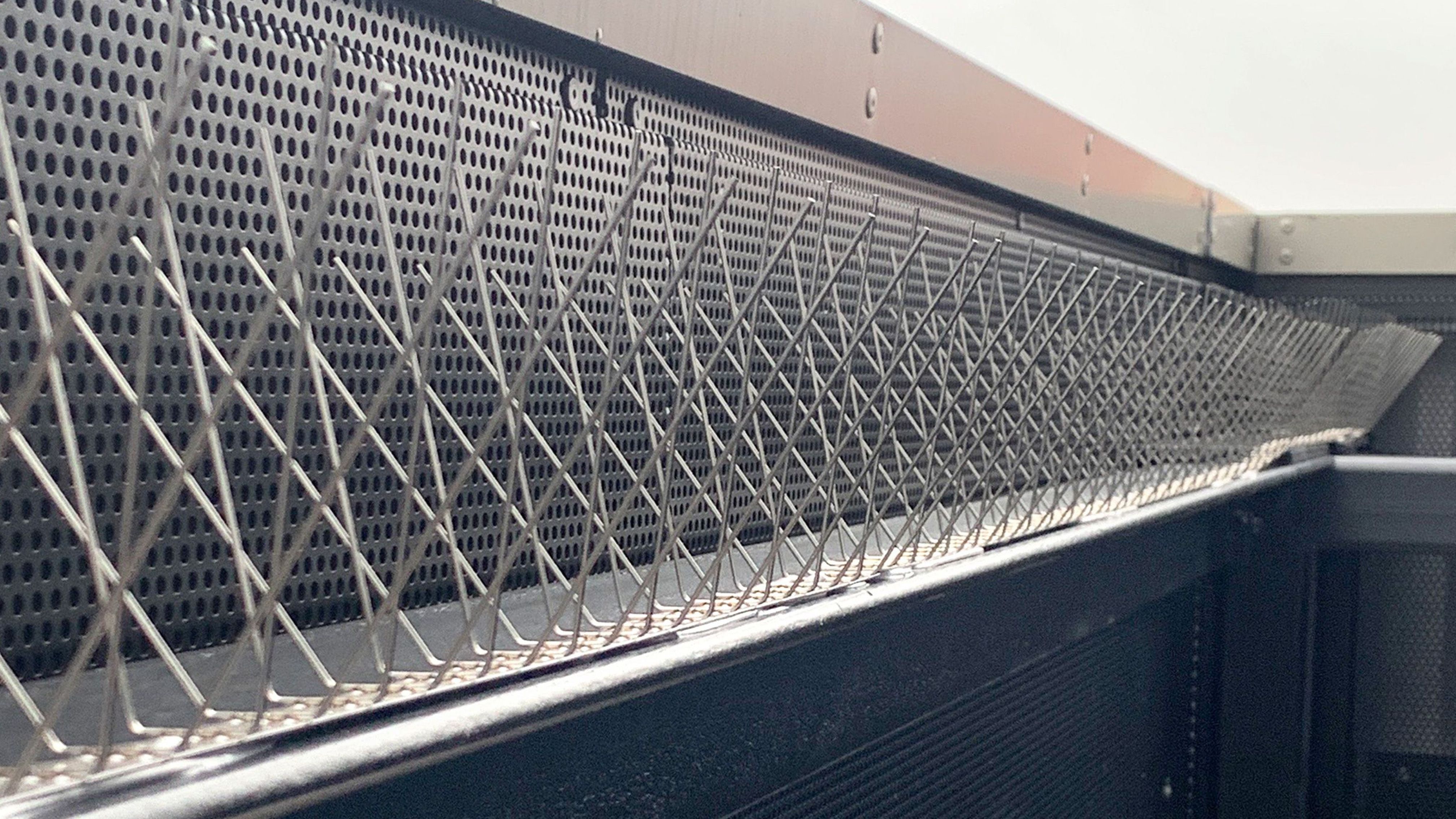 Taubenabwehrspitzen fertig montiert