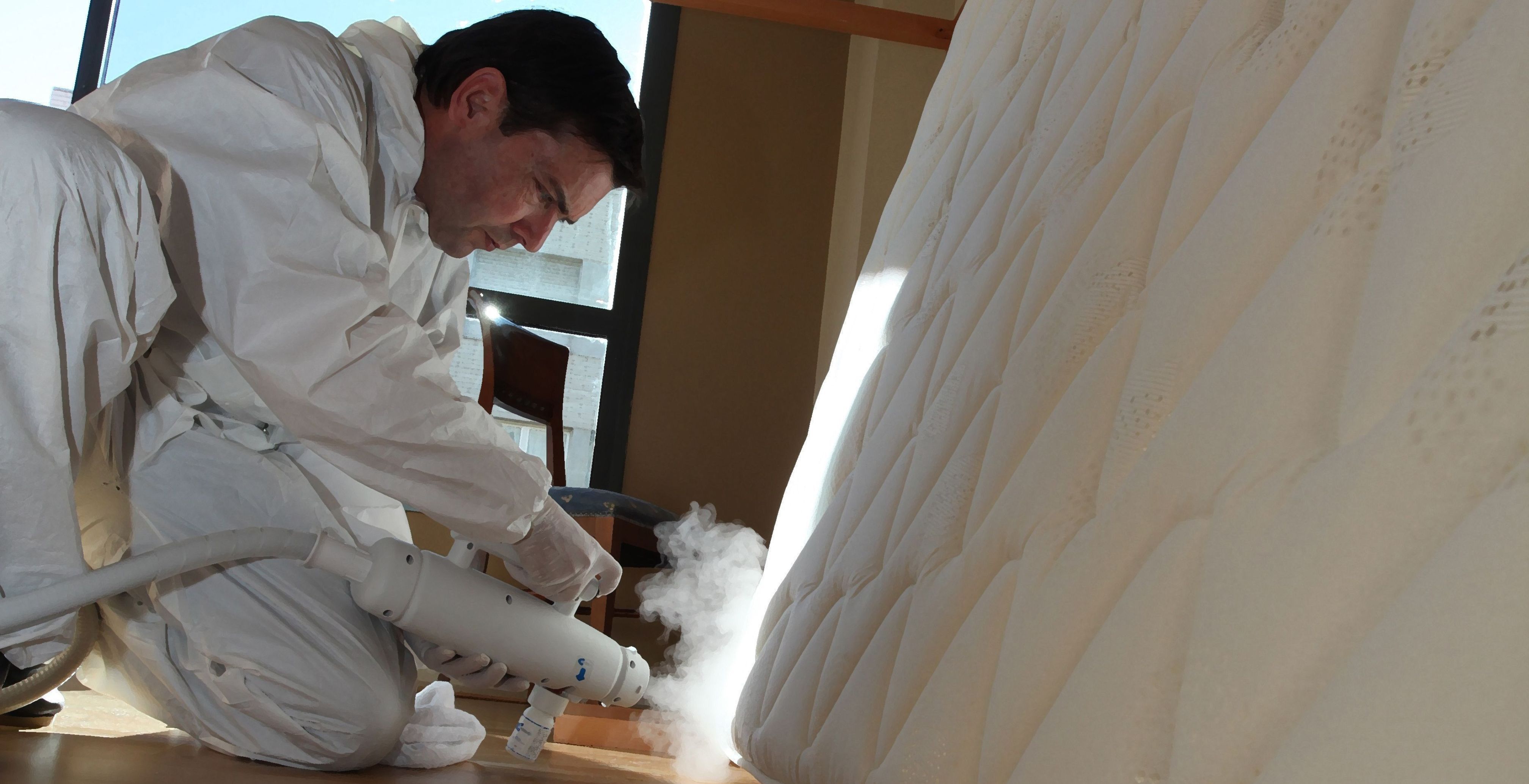 Bettwanzenbekämpfung Zuhause