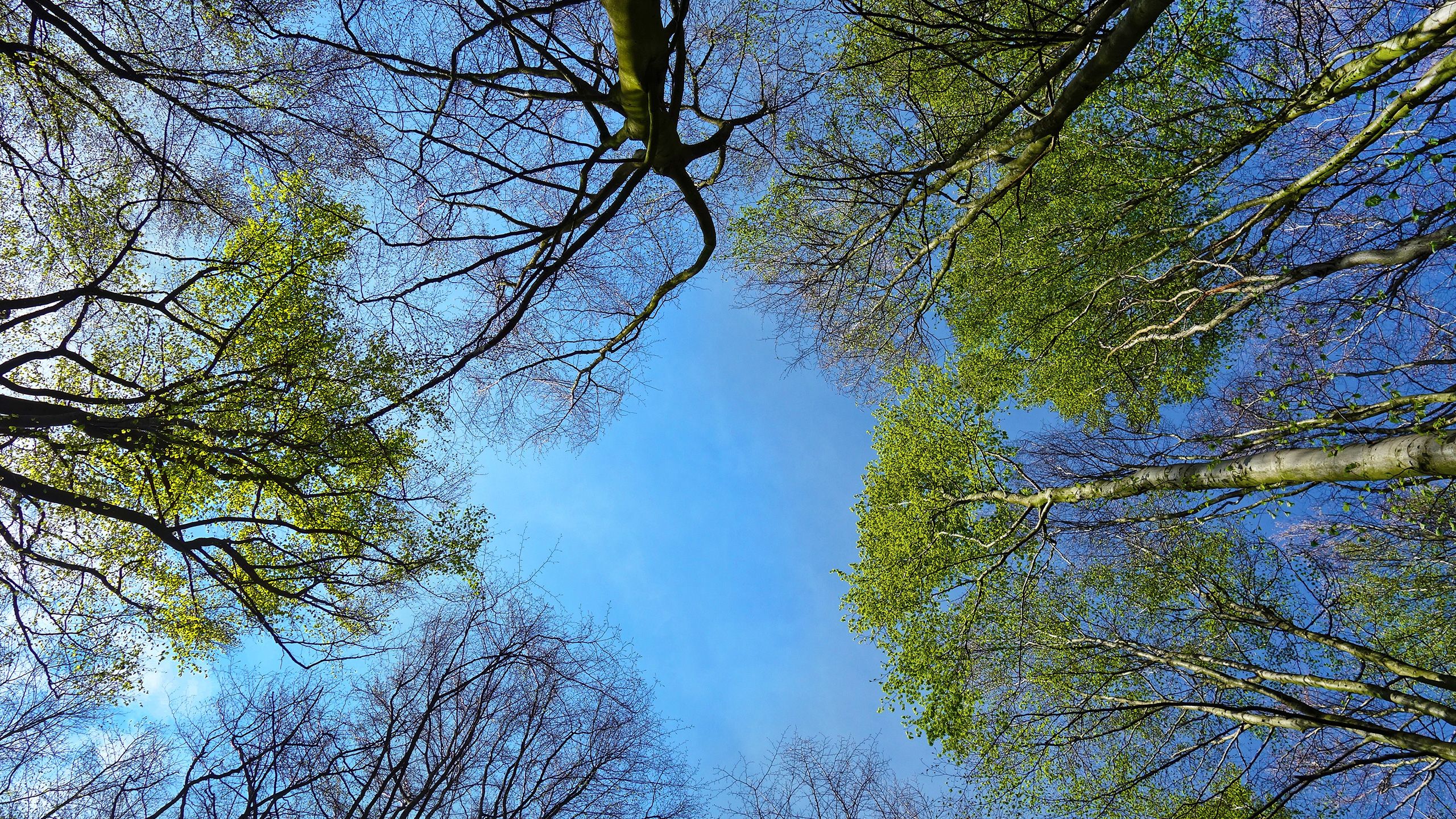 fruehling-das-grosse-krabbeln-blogheader